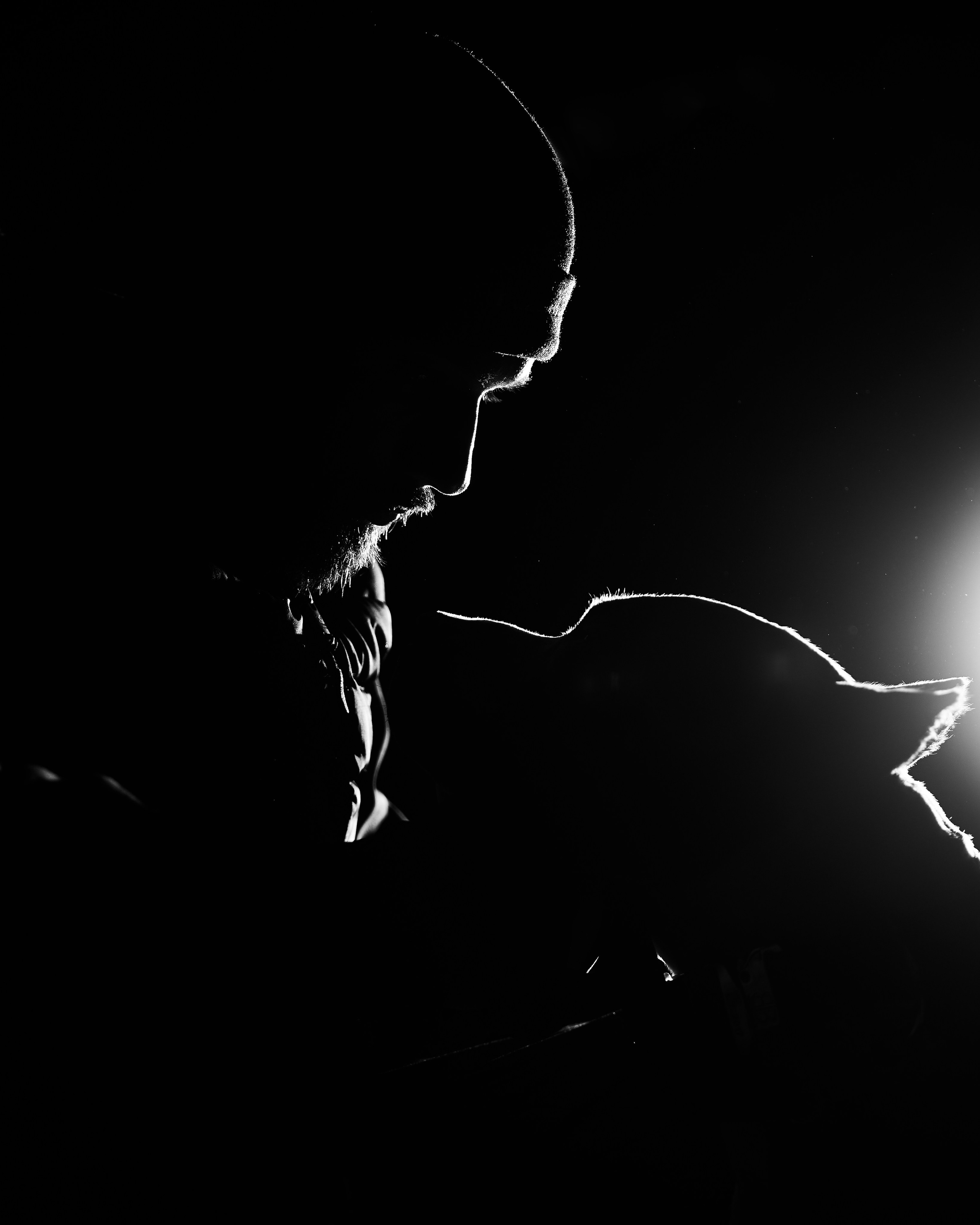 Собаки и люди