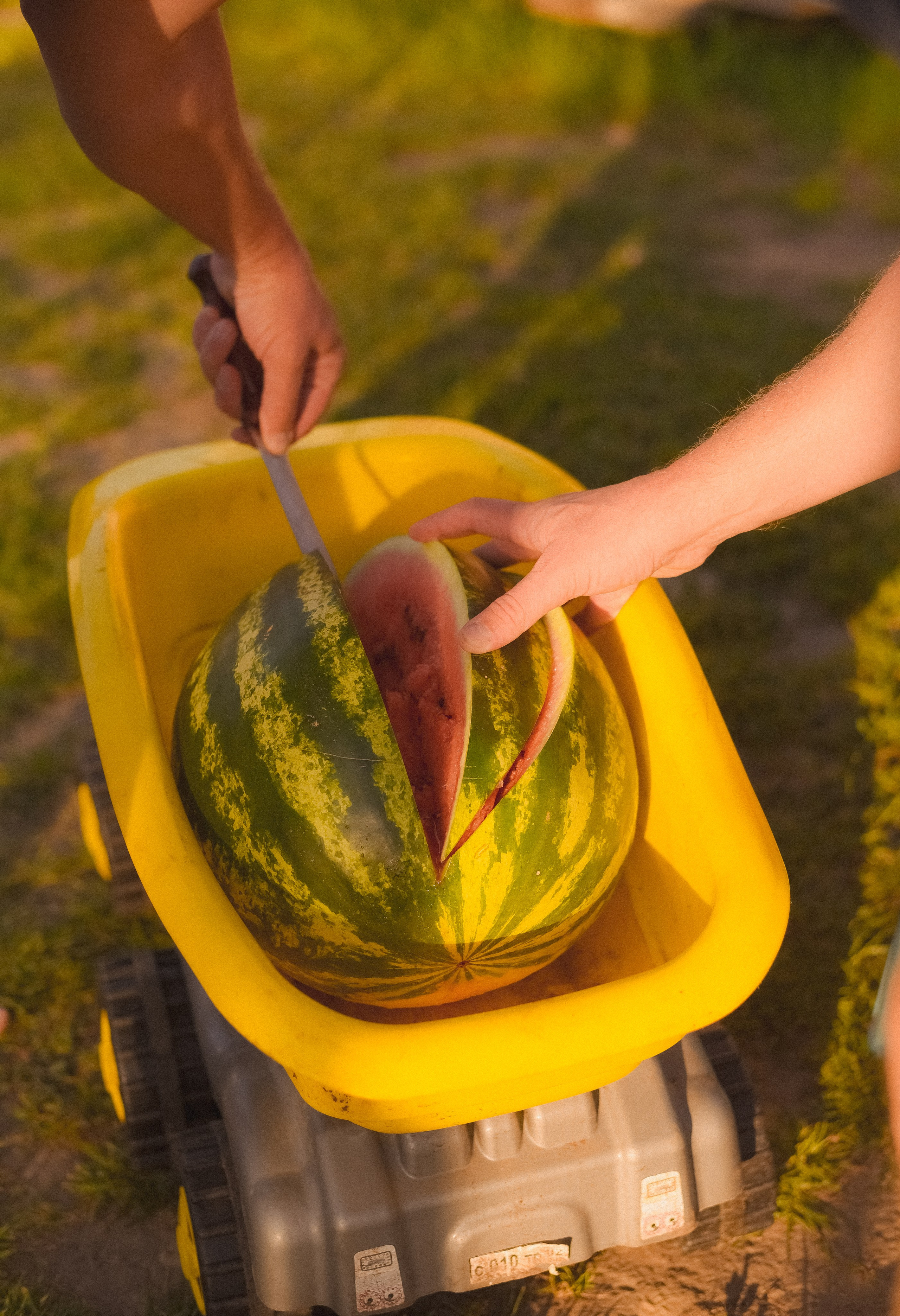 Когда дети были маленькими…. Детский и семейный фотограф в Новосибирске Саша Дорошенко