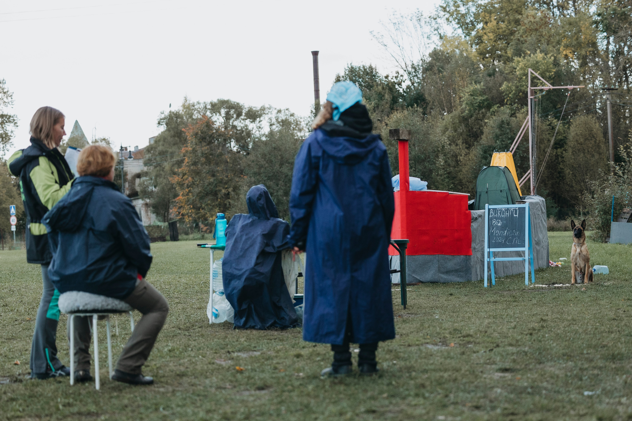 Испытания по мондьорингу г. Пушкин 29.09.2024. Фотограф-анималист Анна Маринич