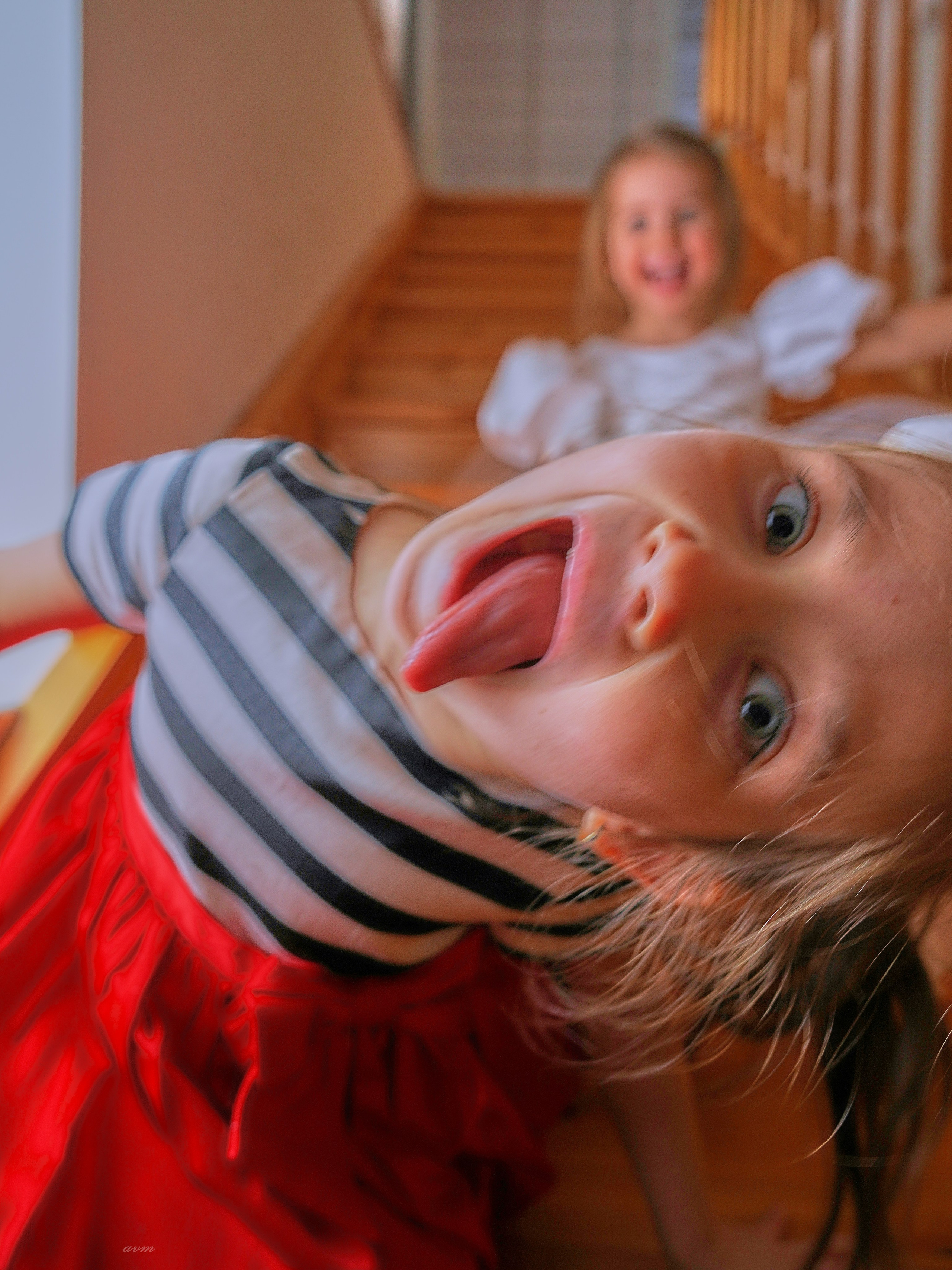 Новый год 2026. Фотограф Михеев Андрей