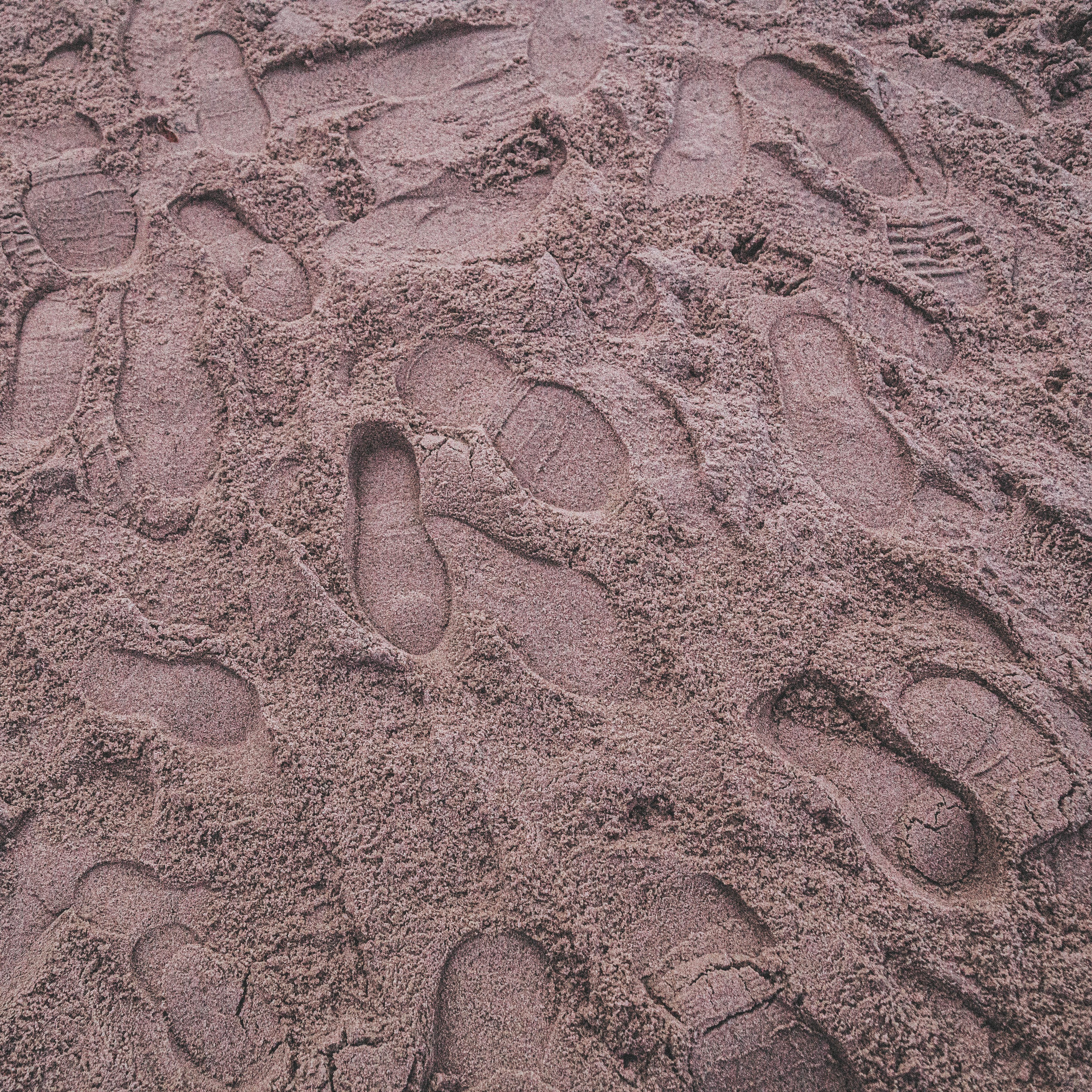 Калининград, декабрь 2025. Фотограф в Ярославле Ольга Пыненкова