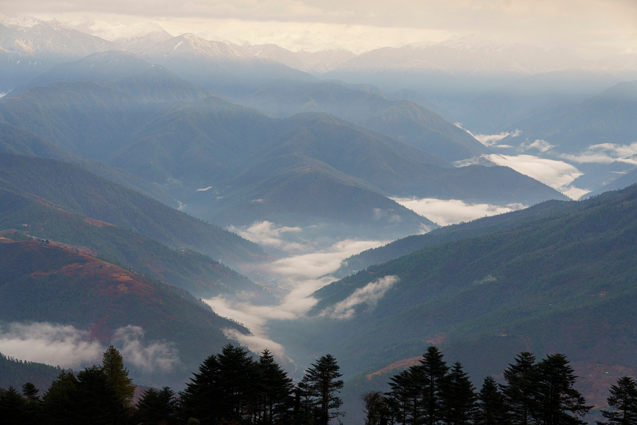 India travel. Фотограф Сергей Танков