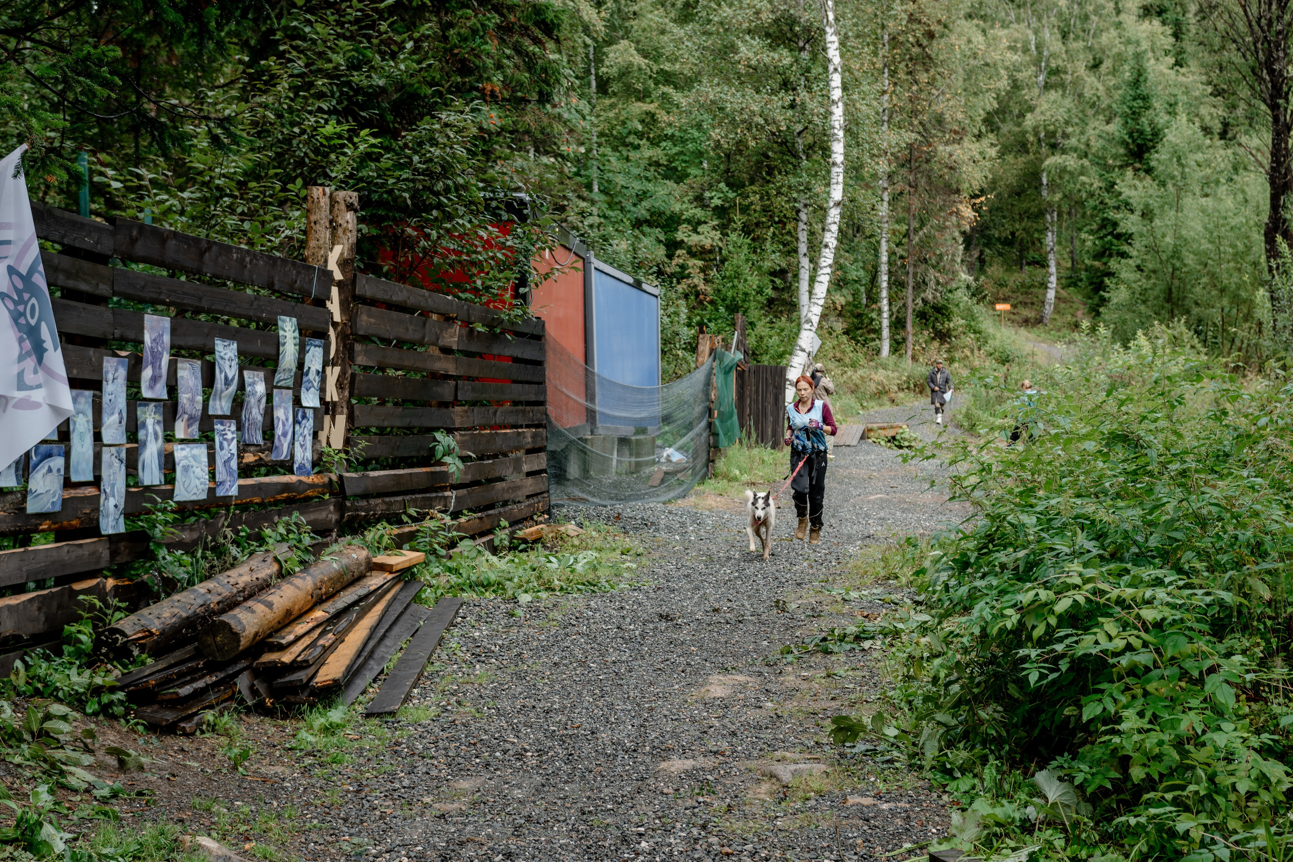 Дог-треккинг