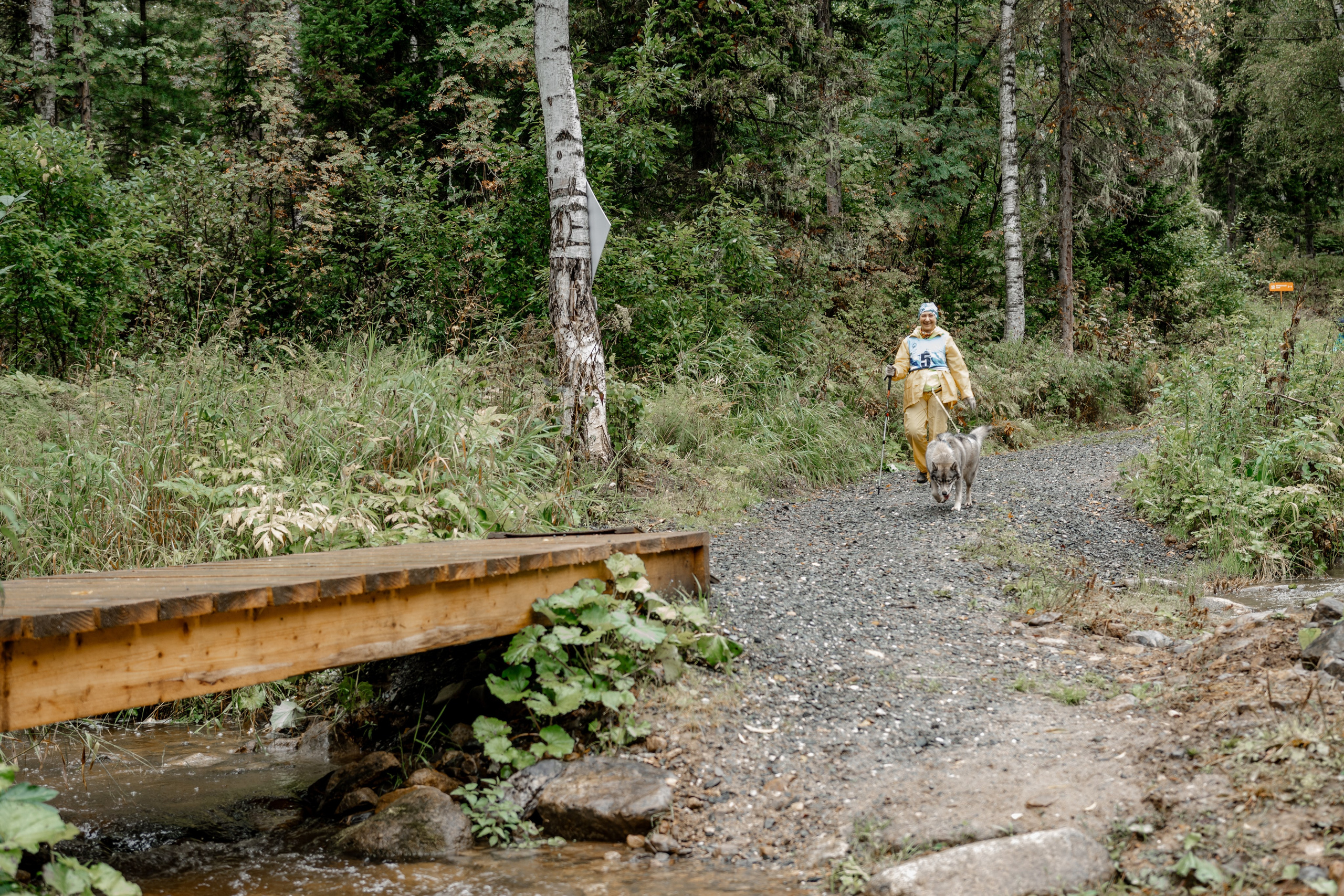 Дог-треккинг