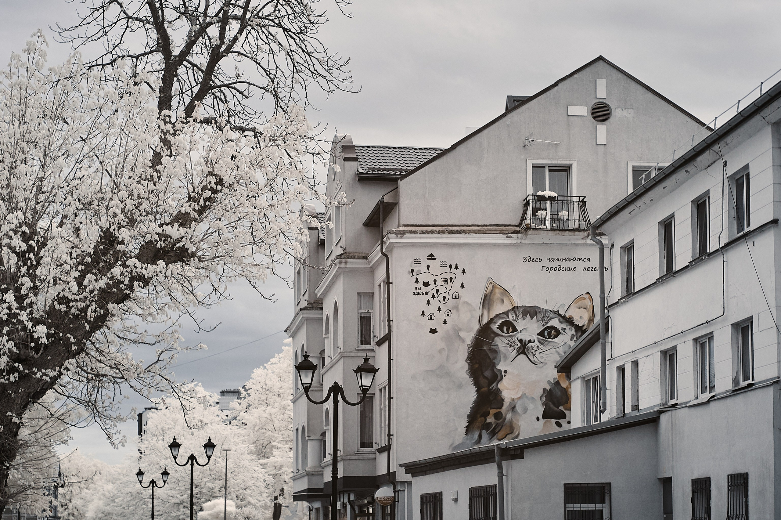 Infrared Photography. Solofilms