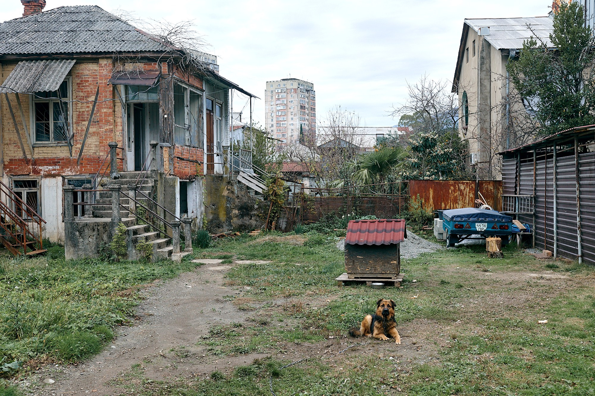 Гагра, Абхазия. Декабрь 2024. Фотографии отовсюду и обо всем