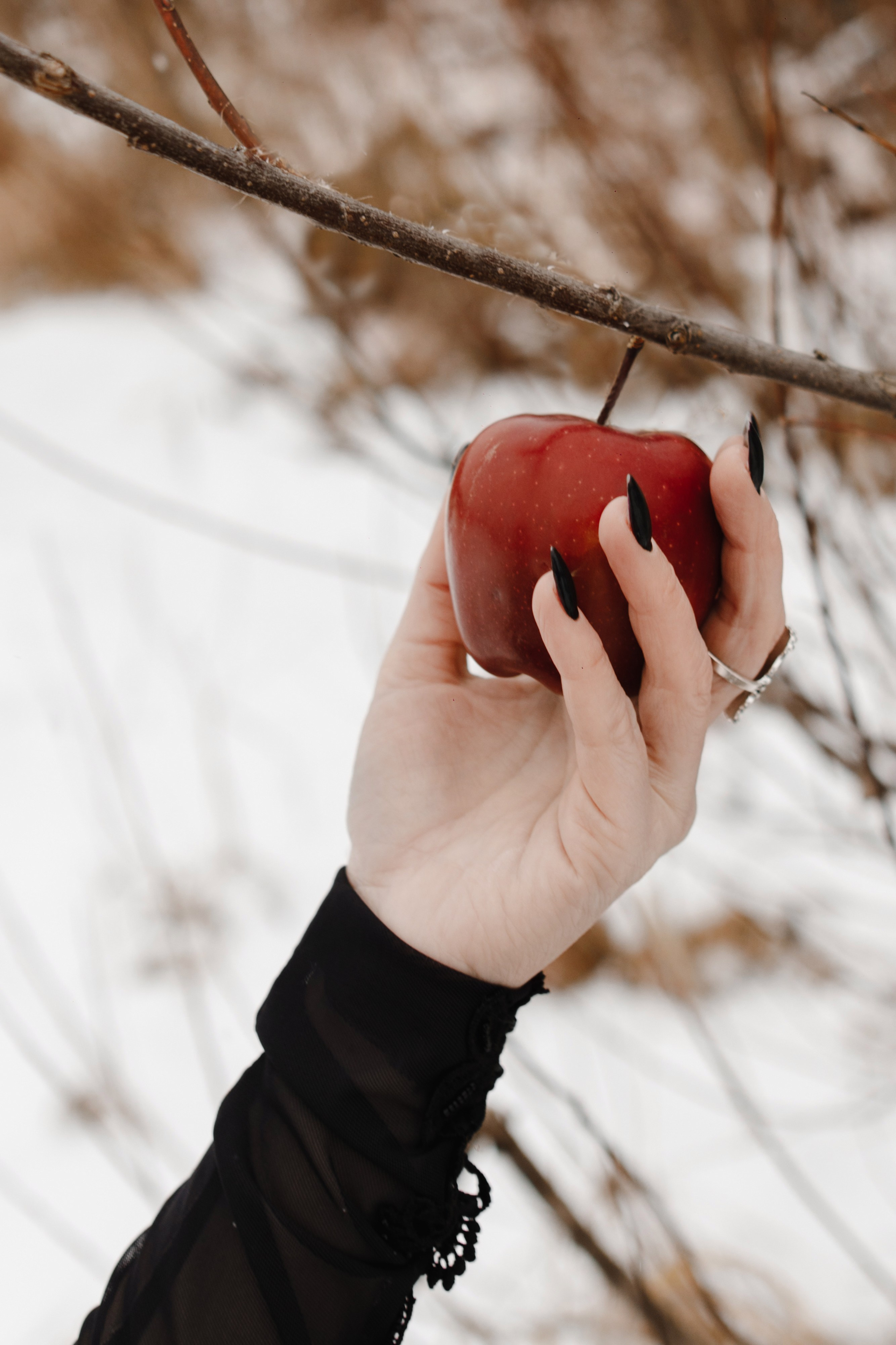 Индивидуальные. Главная