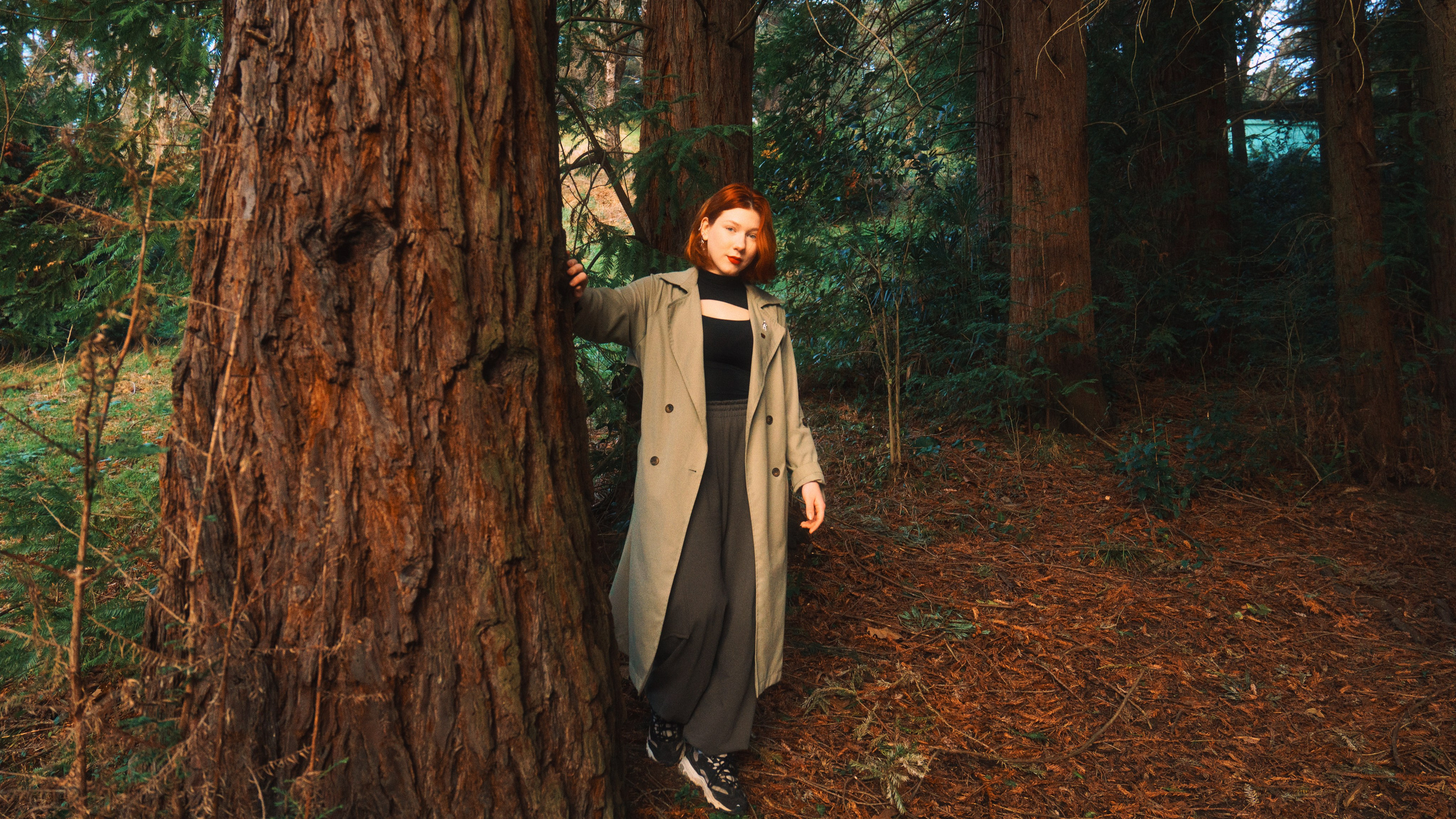 Сочи, дендрарий