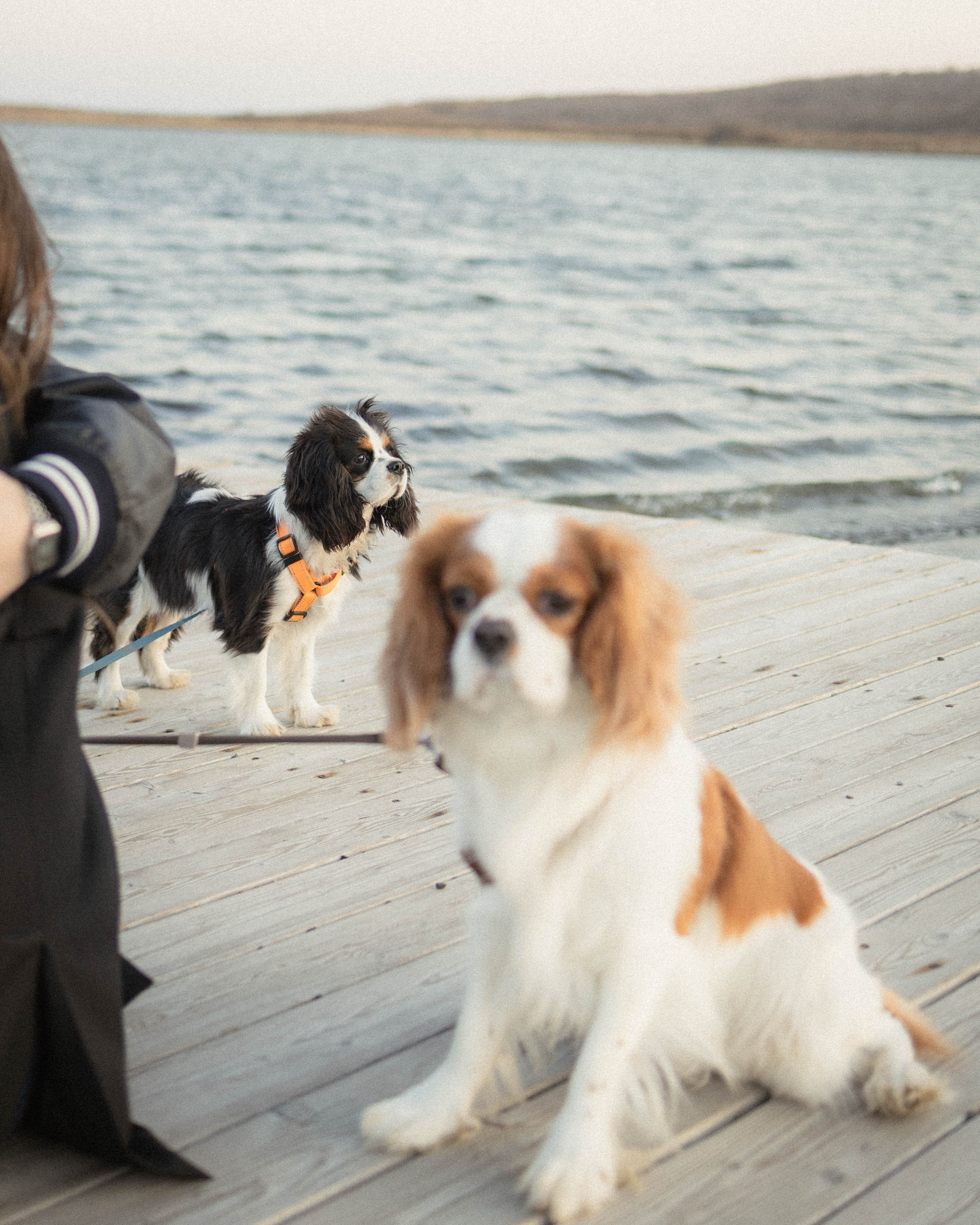 Кирилл и Мелания. Фотограф Виктория Куприянова