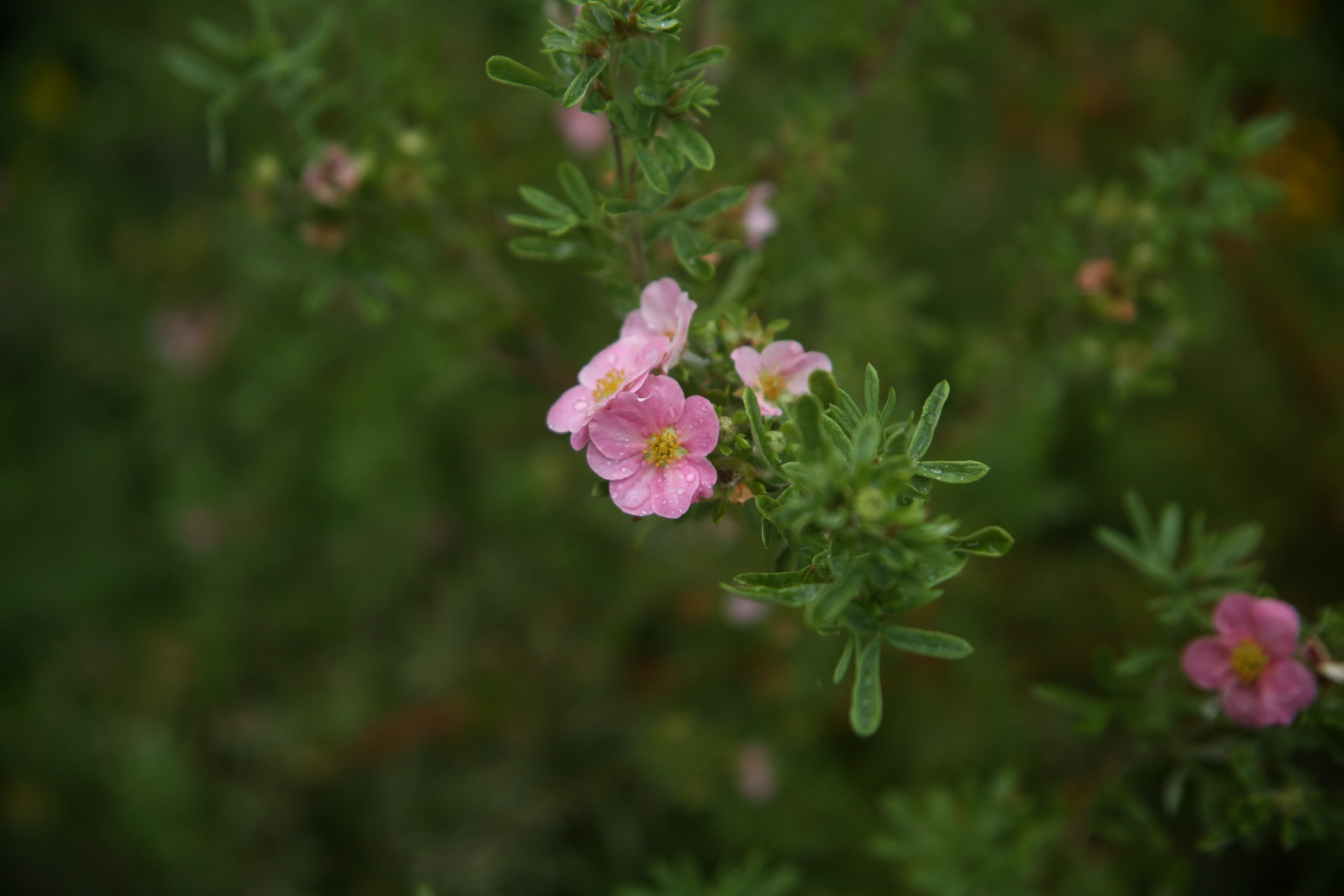 Всё, что я вижу вокруг себя