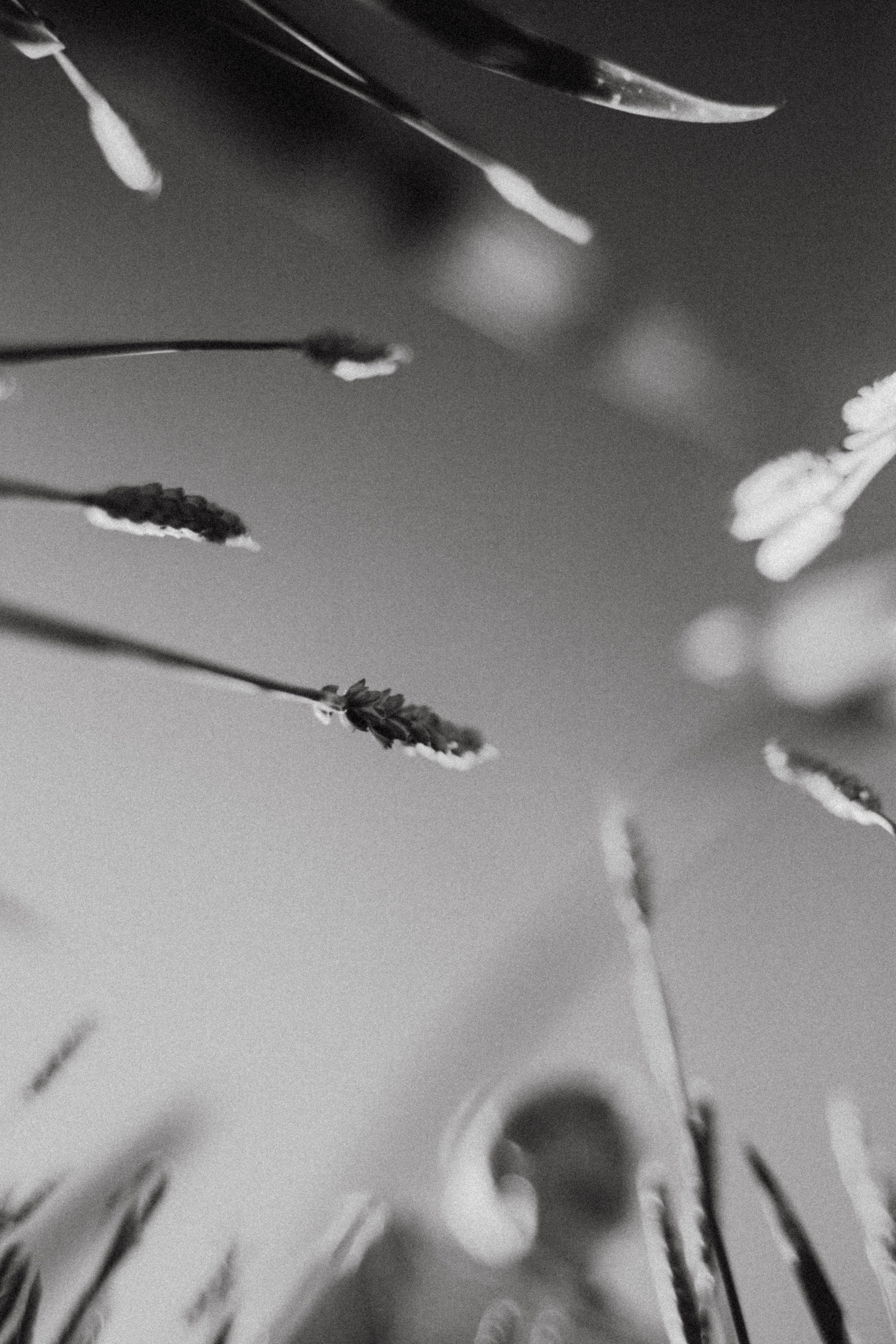 Анна на закате. Фотограф в Нижнем Новгороде