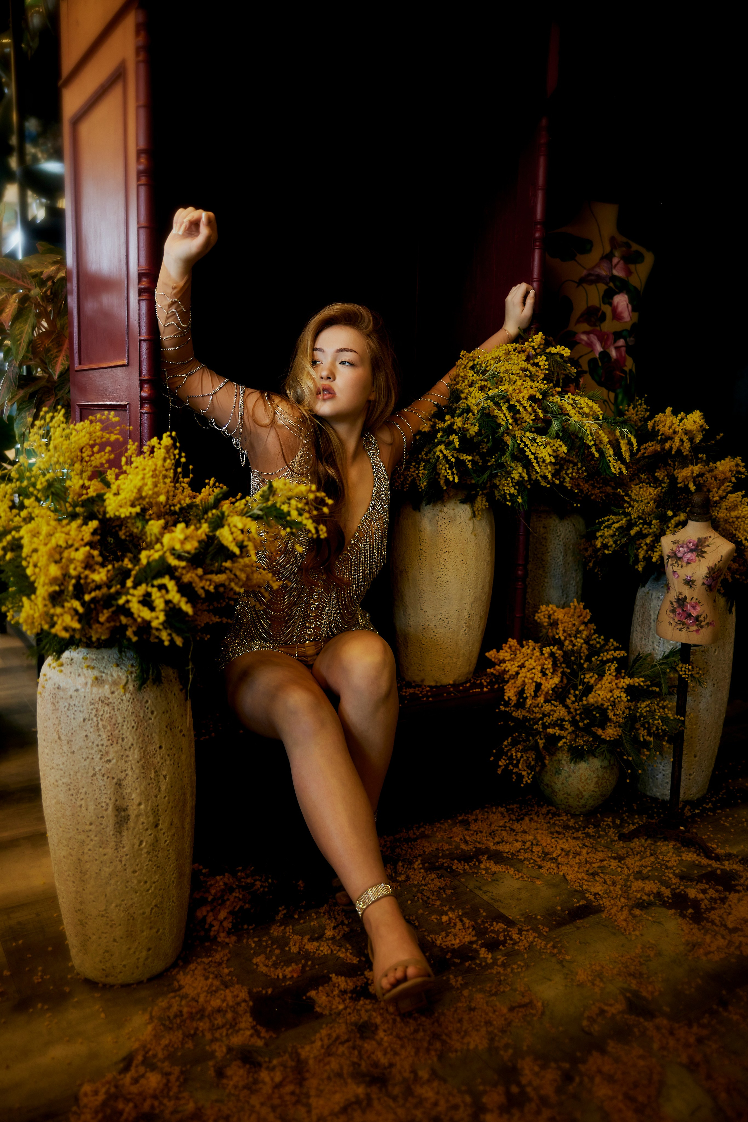 Мимоза 2. Сергей Ирклиенко