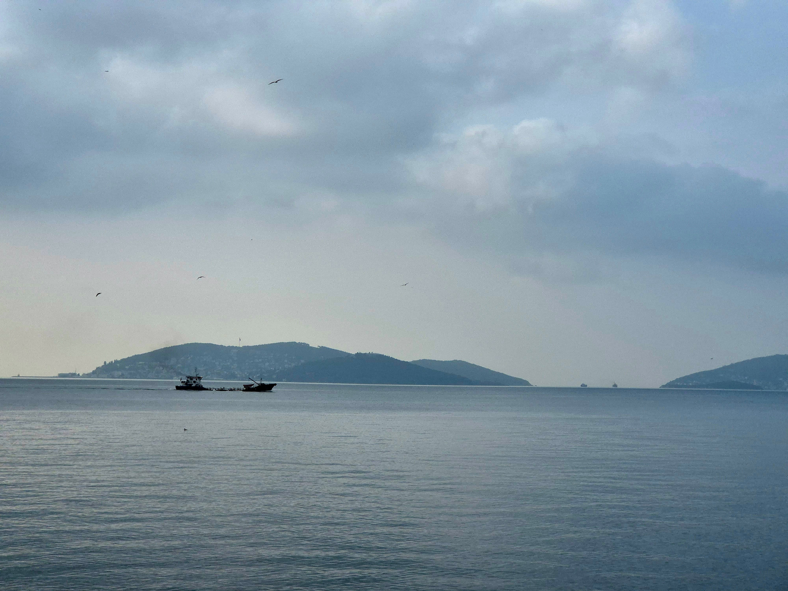 Адалары ждут