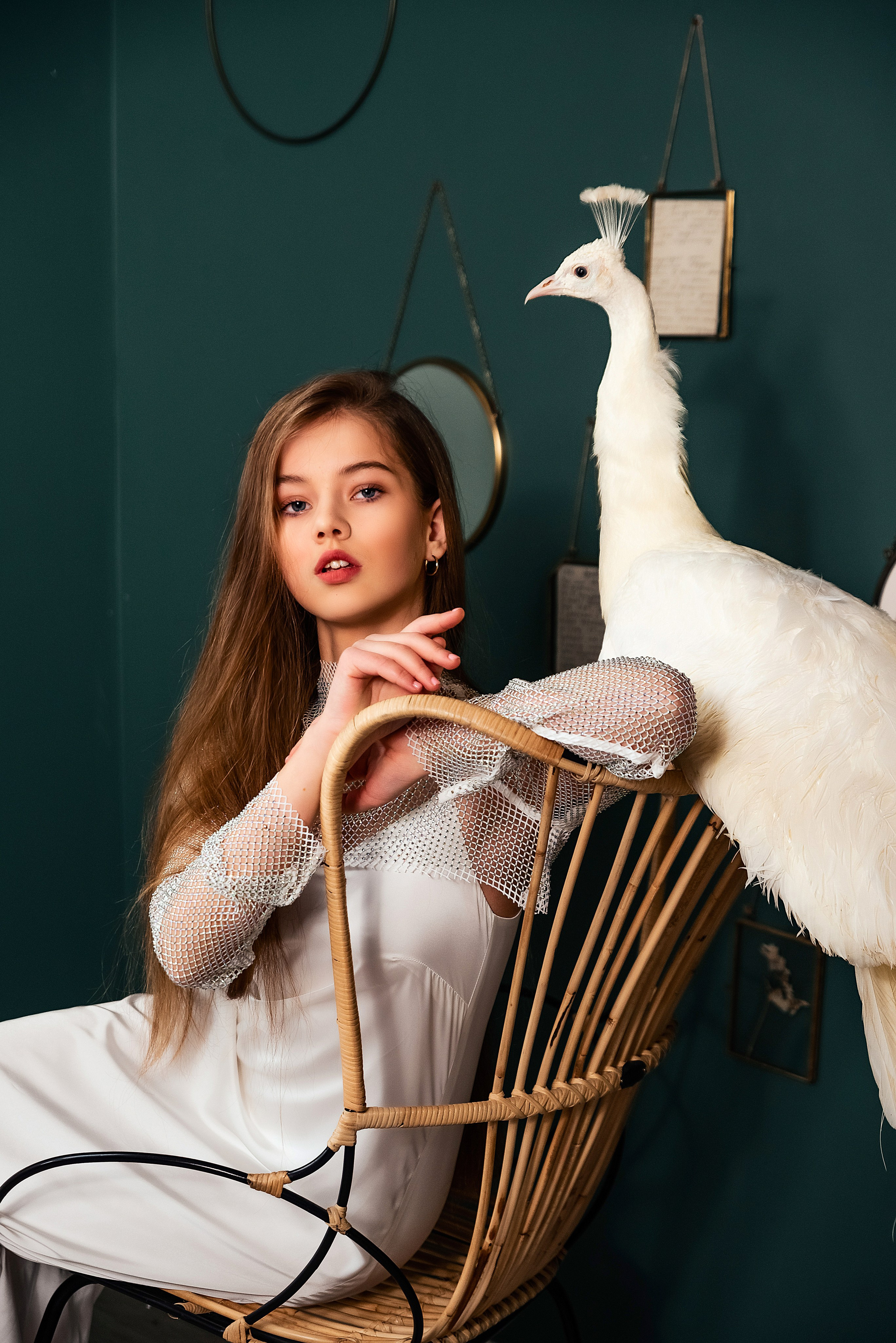 Павлин. Фотограф в Москве Lidiya_Li_Photo