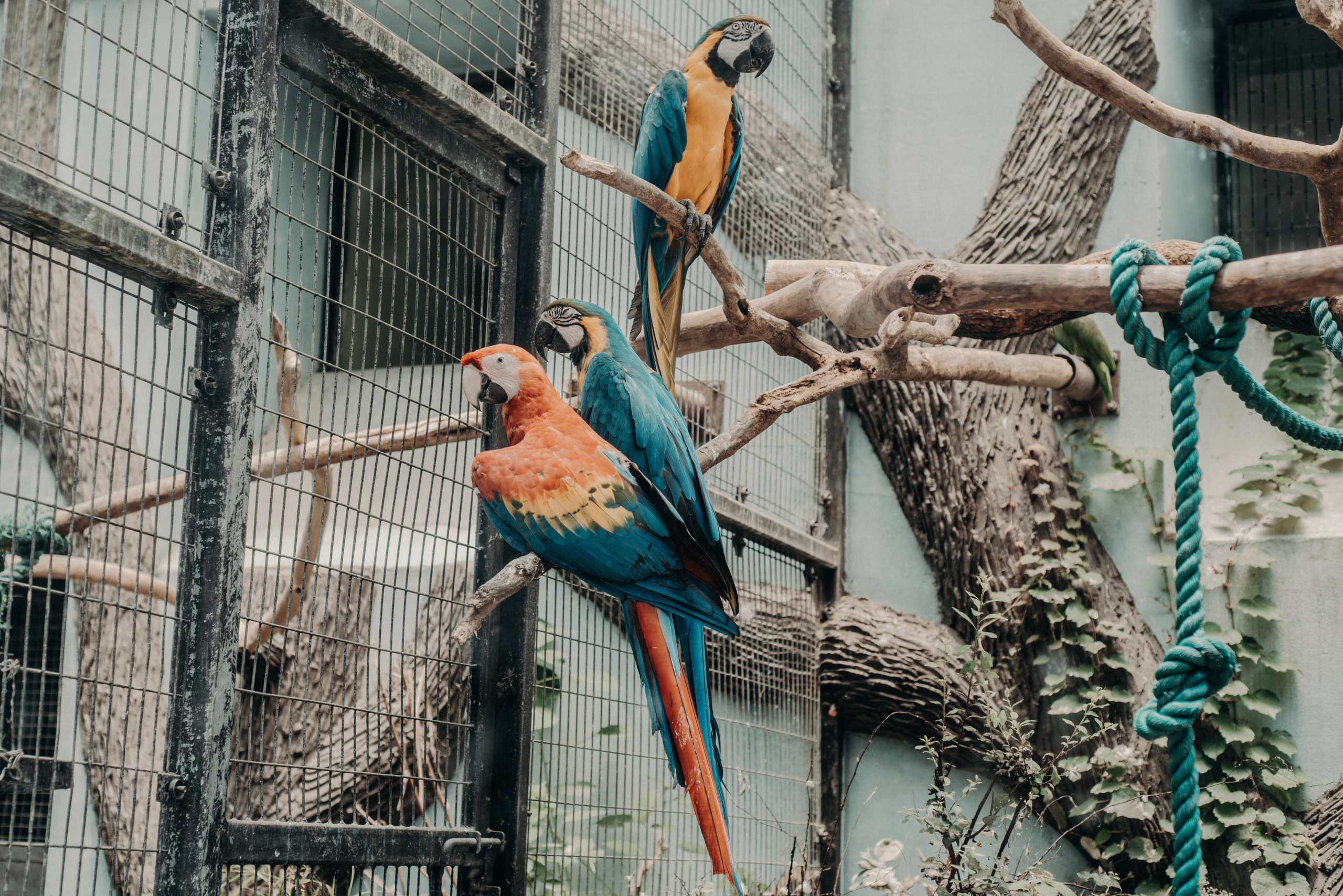 Рекламный фотограф из Гуанчжоу: вдохновение в улицах Шанхая. Коммерческий и предметный фотограф в Гуанчжоу Коваленко Александр