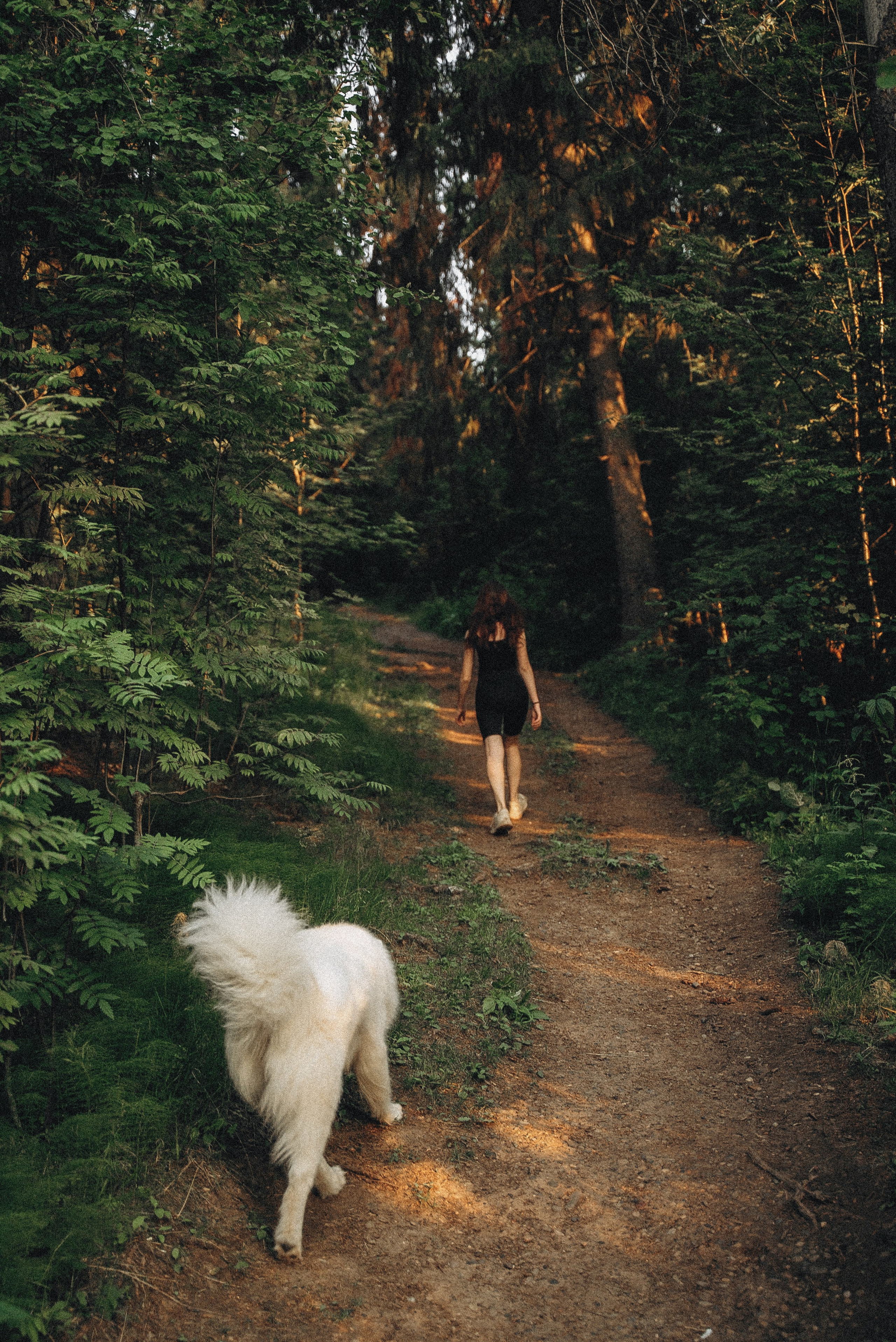 Алёна и Челси. Фотограф-анималист Богданова Полина