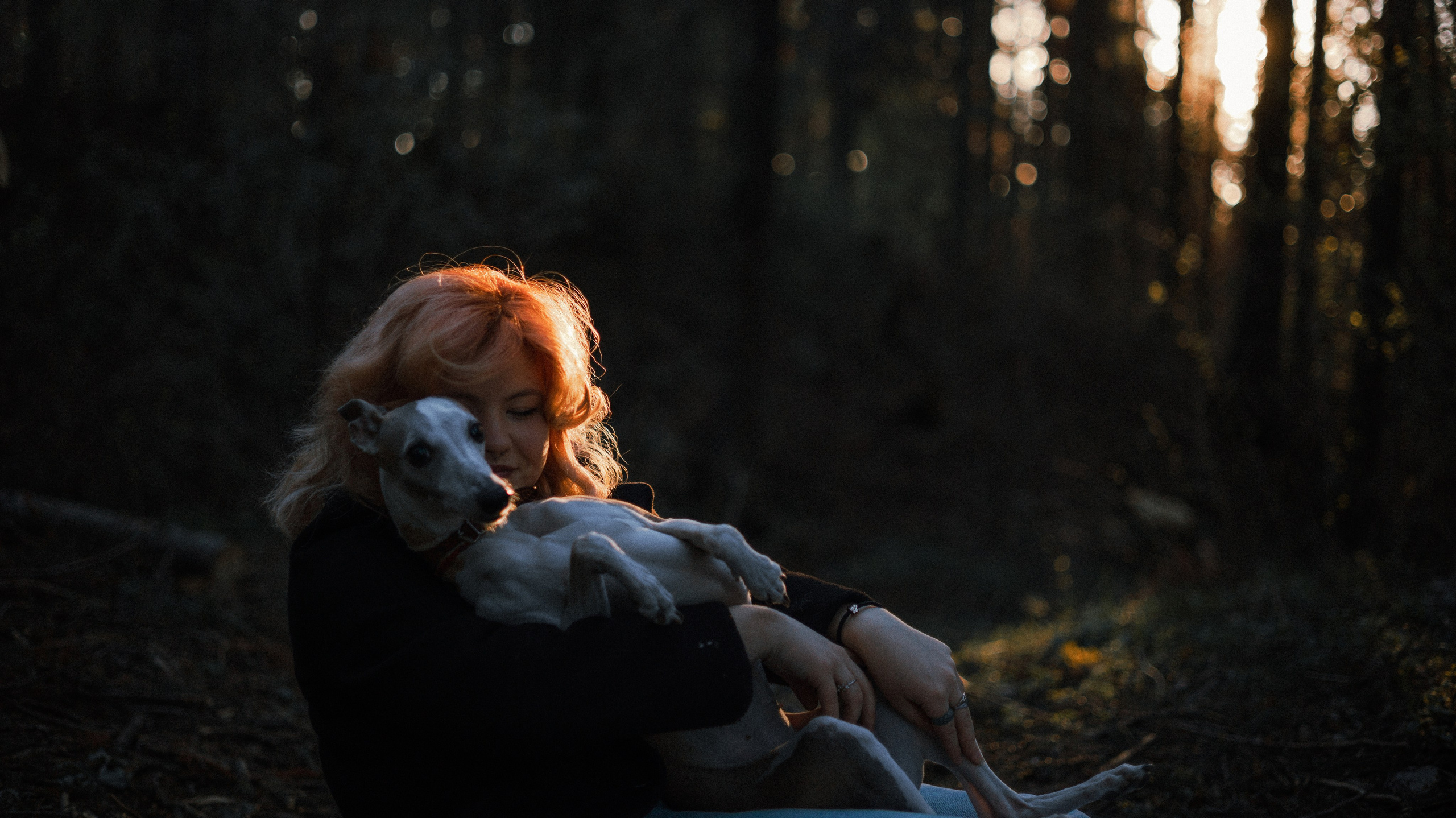 Вика, Джем и Белла. Фотограф-анималист Богданова Полина