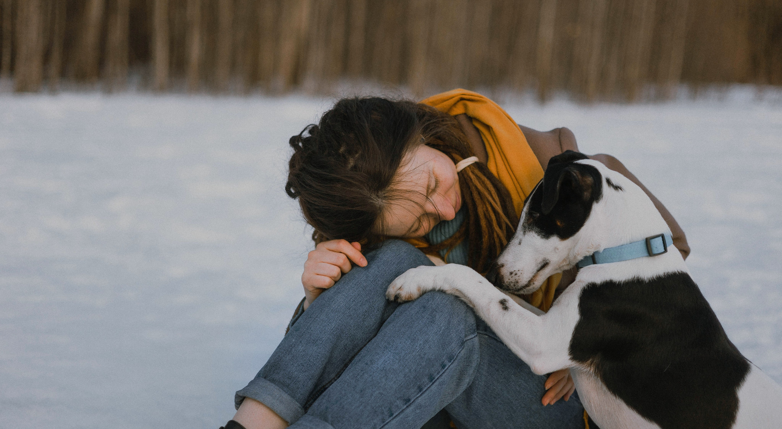 Ольга и Сэм. Фотограф-анималист Богданова Полина