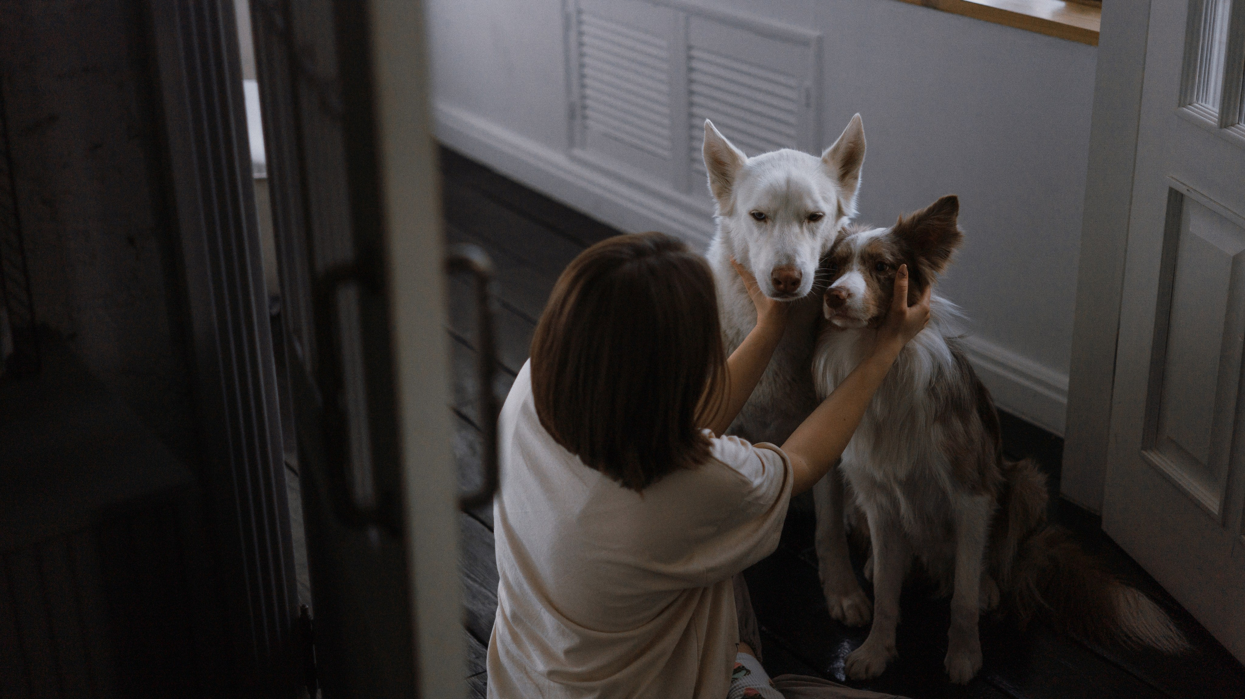 Аня, Дэймон и Грэй. Фотограф-анималист Богданова Полина