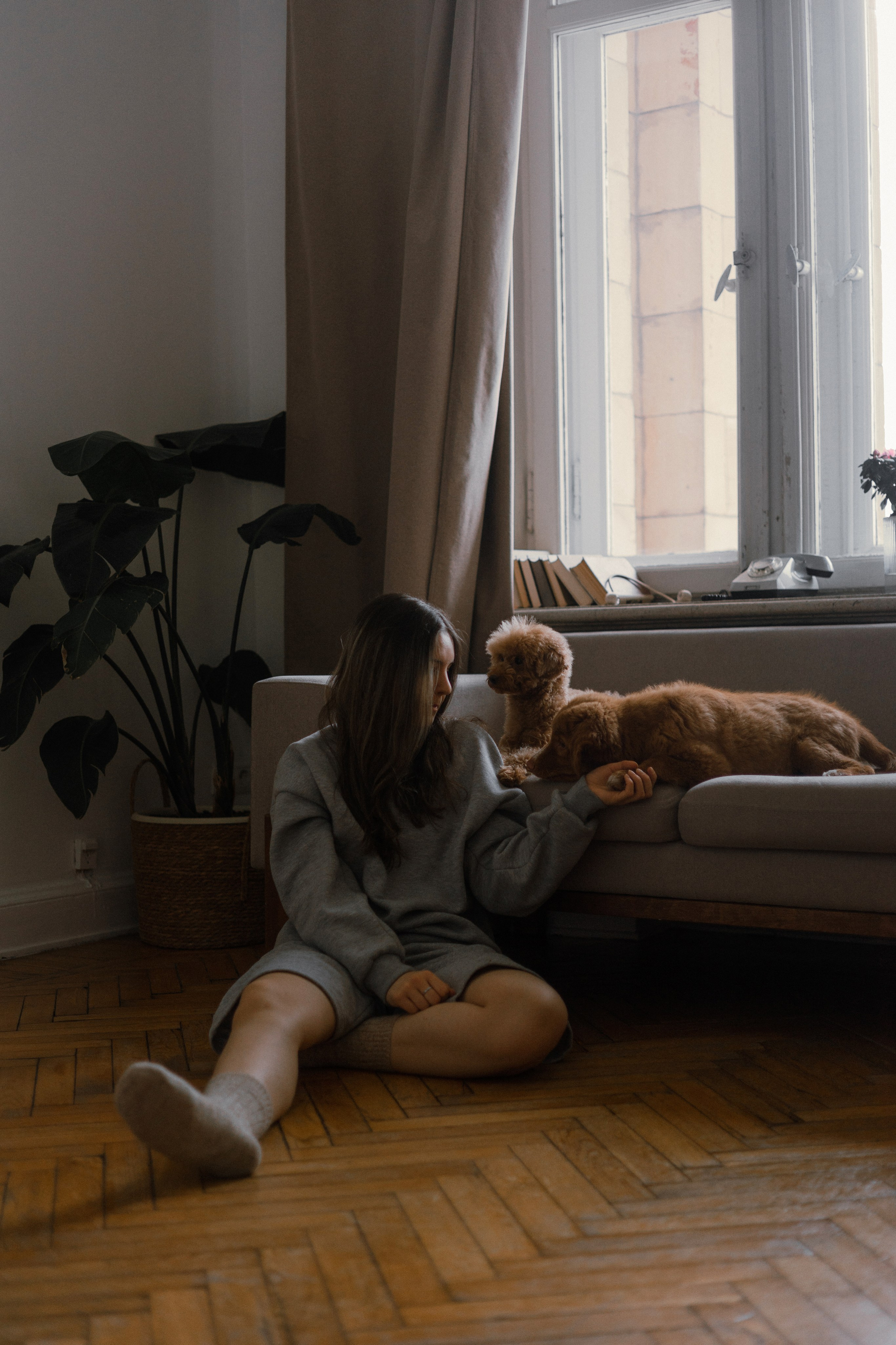 Маша, Одди и Нэвил. Фотограф-анималист Богданова Полина