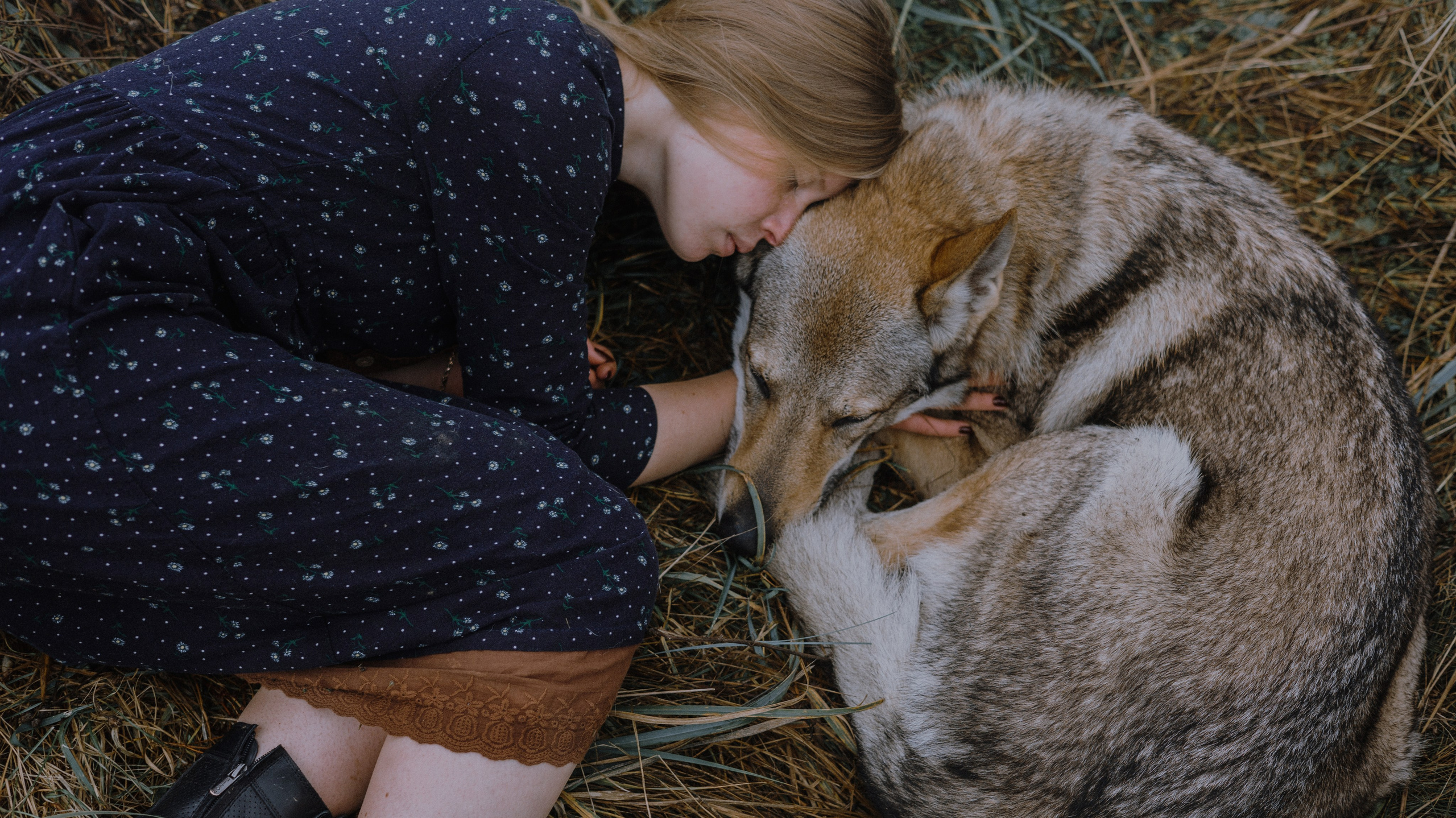 Полина и Вегард. Фотограф-анималист Богданова Полина