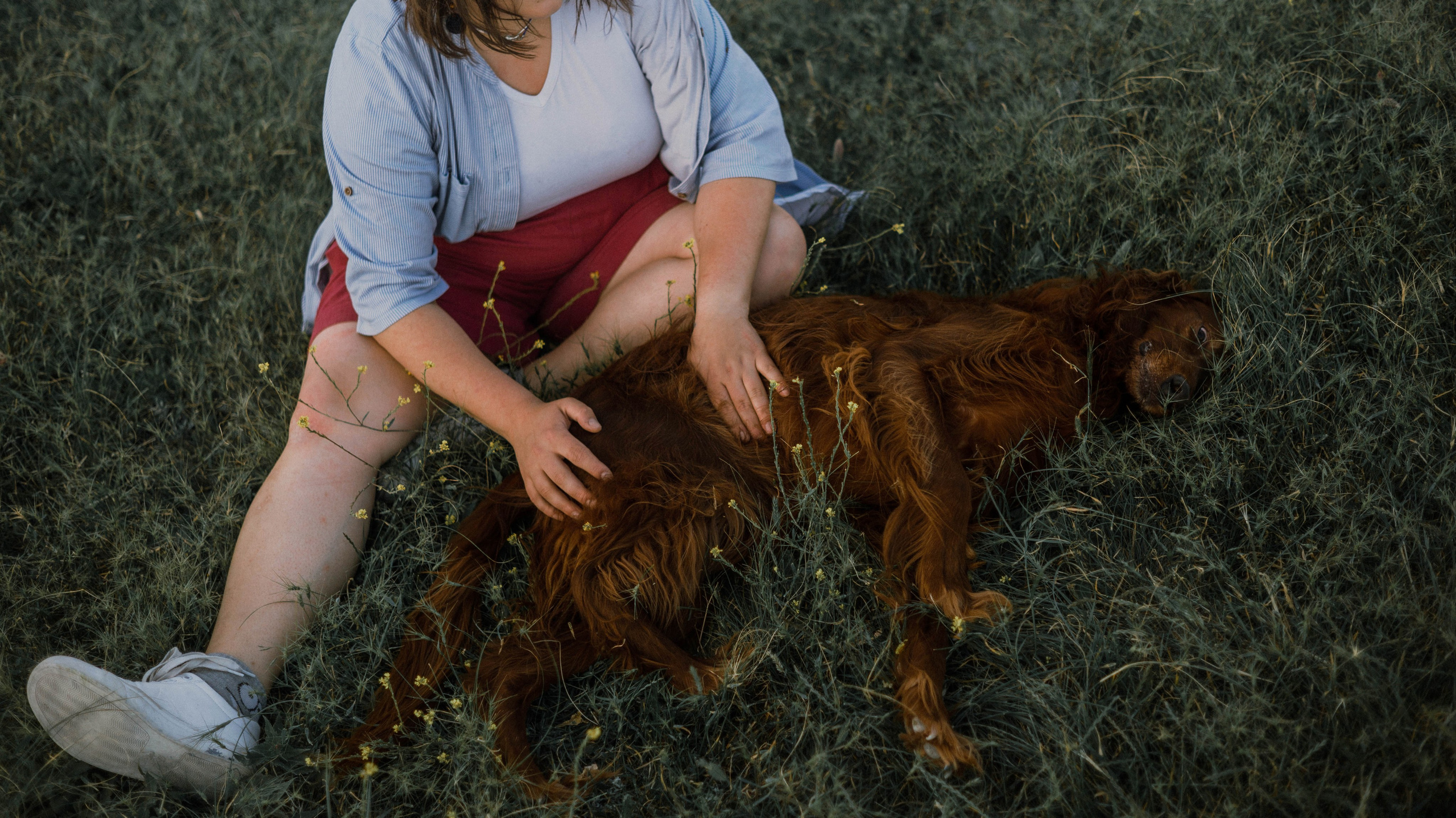 Ольга и Шеймас. Фотограф-анималист Богданова Полина