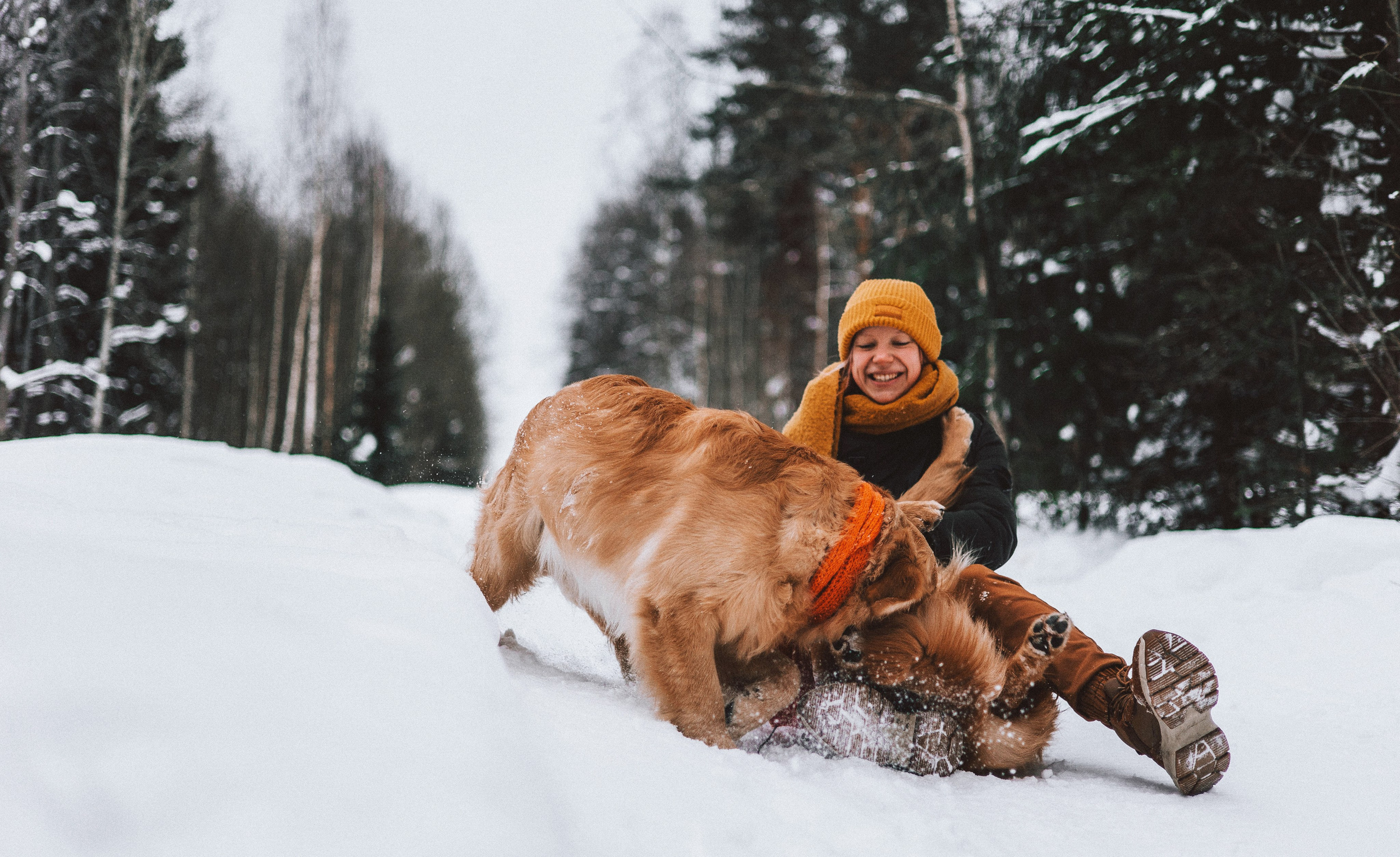 Саша, Юля, Грэй и Джой. Фотограф-анималист Богданова Полина