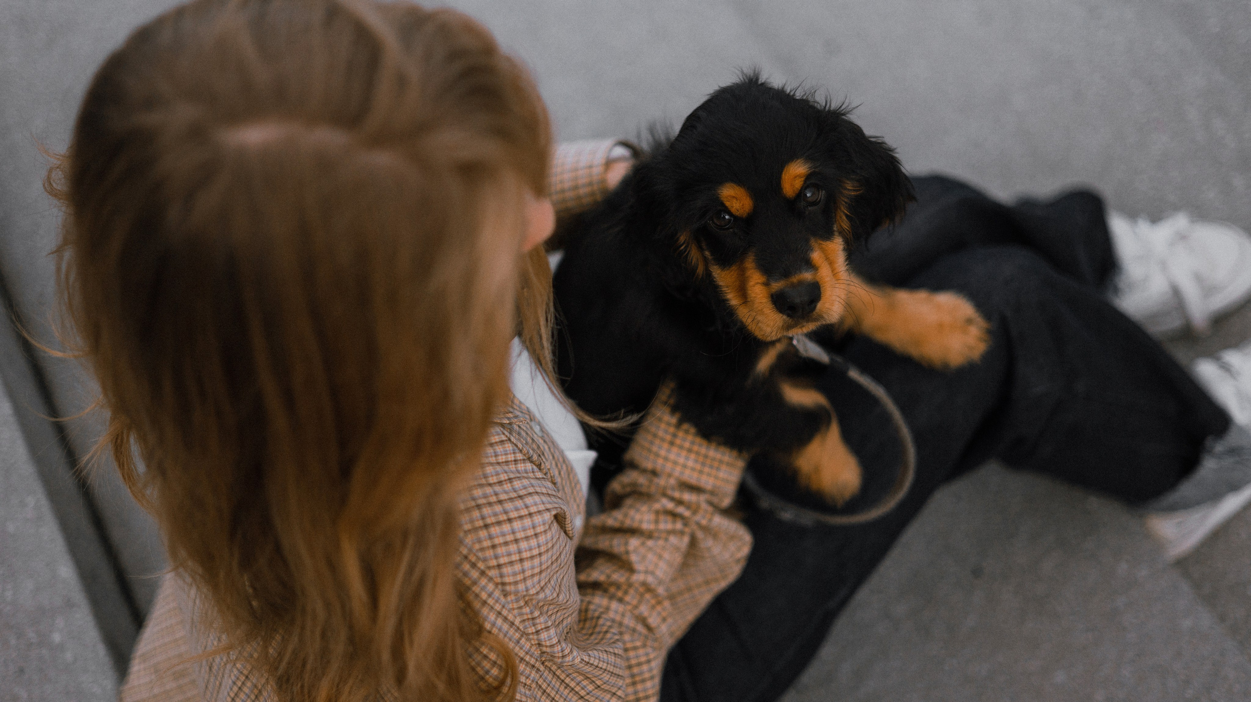 Аня и Ривер. Фотограф-анималист Богданова Полина