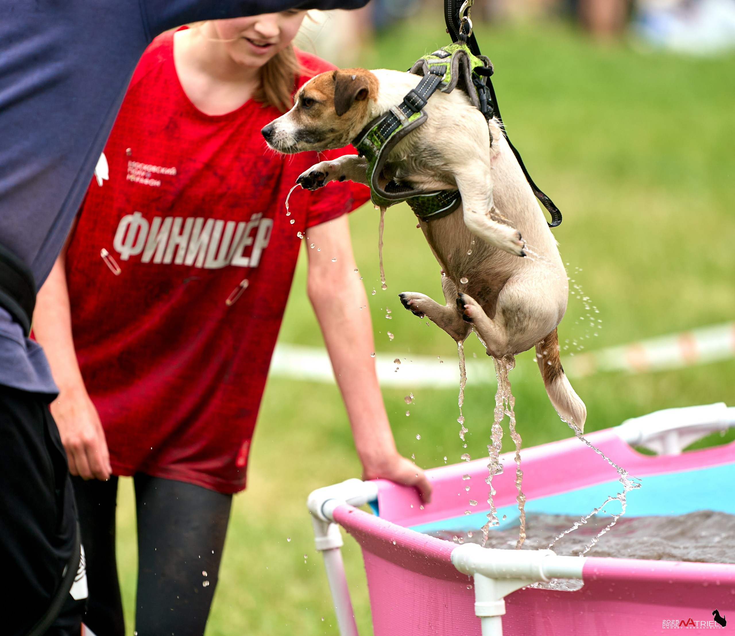 Russian Extreme Dog Trail — 2025