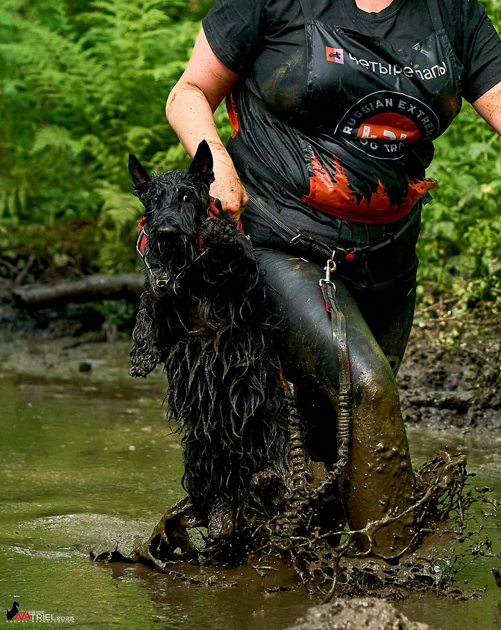 Russian Extreme Dog Trail — 2025