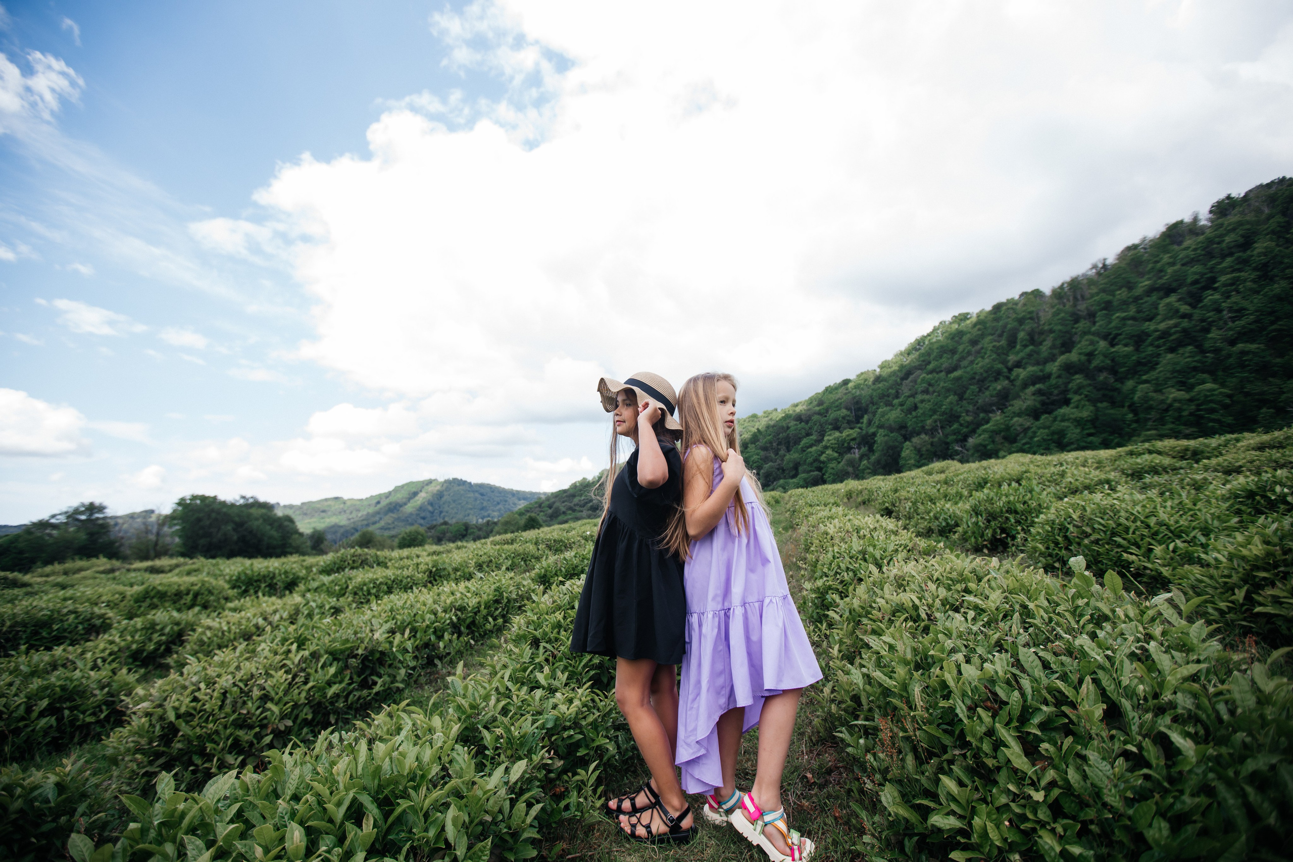 Tea plantation. Efimova Model Agency