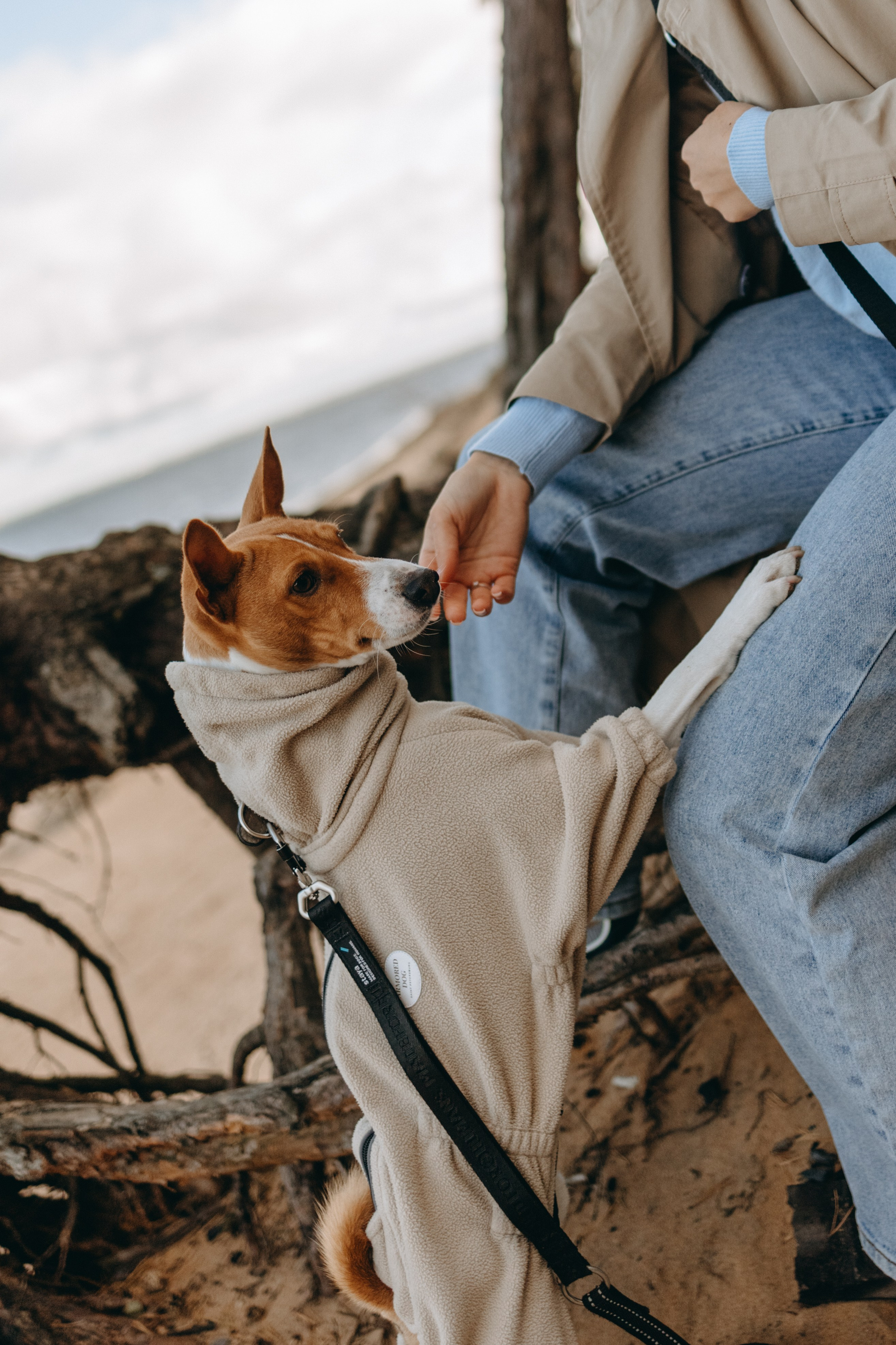 Алиса и Лео. Фотограф — Анималист | Санкт-Петербург