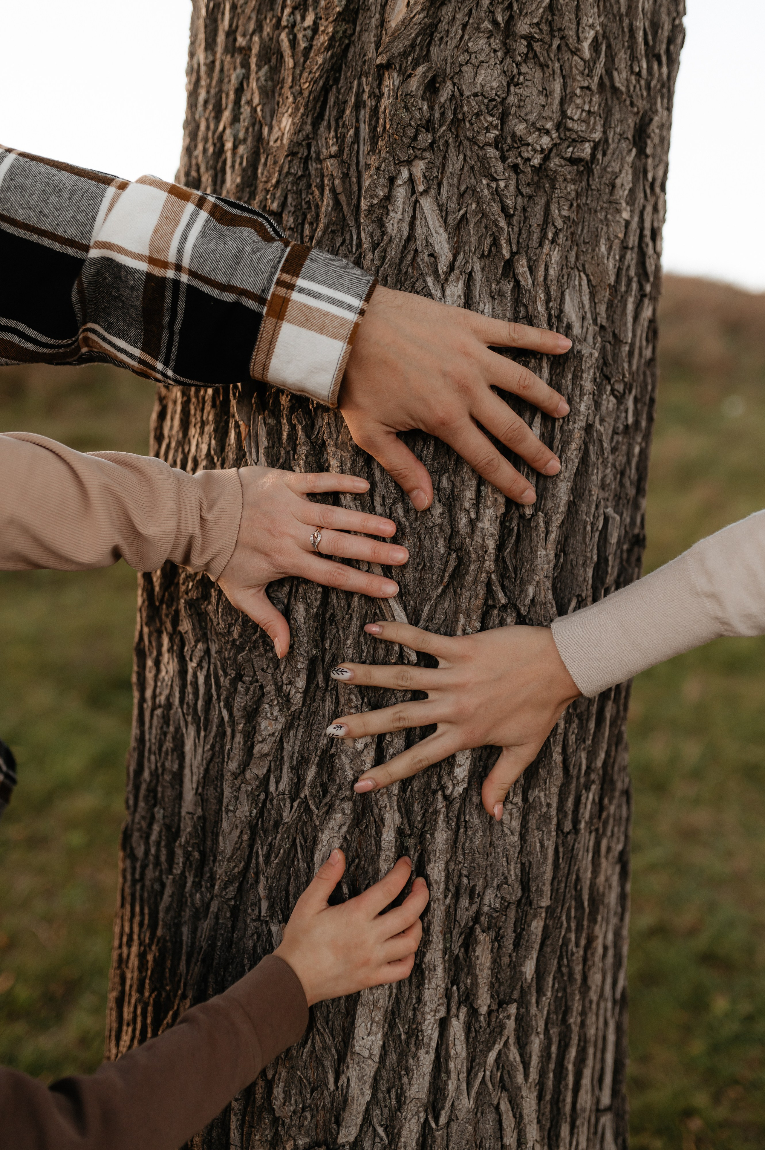 Осень на Обском море. Главная