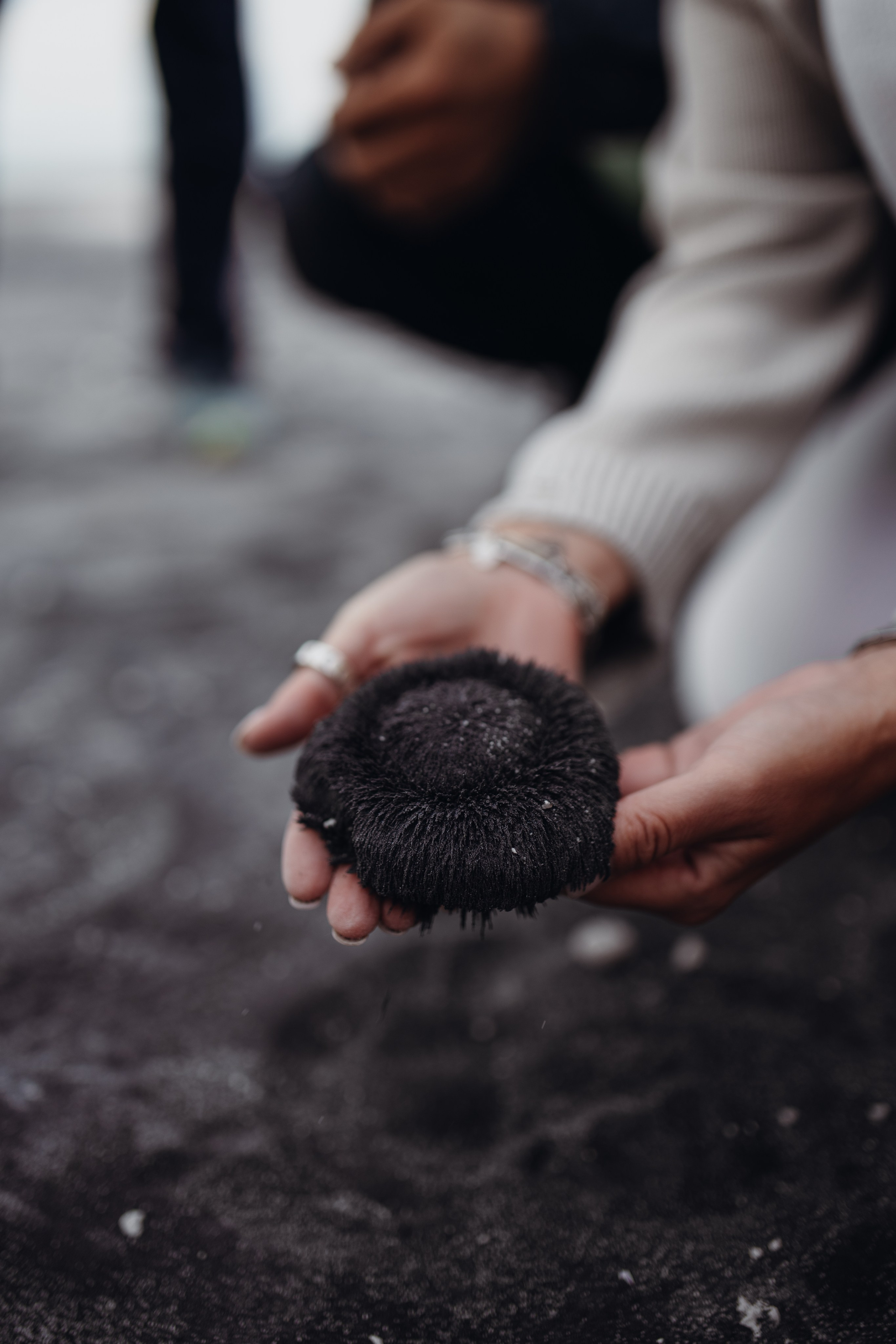 Авторский тур «Оля, куда завтра?!» 2024. Фотограф Итуруп | Курильские острова