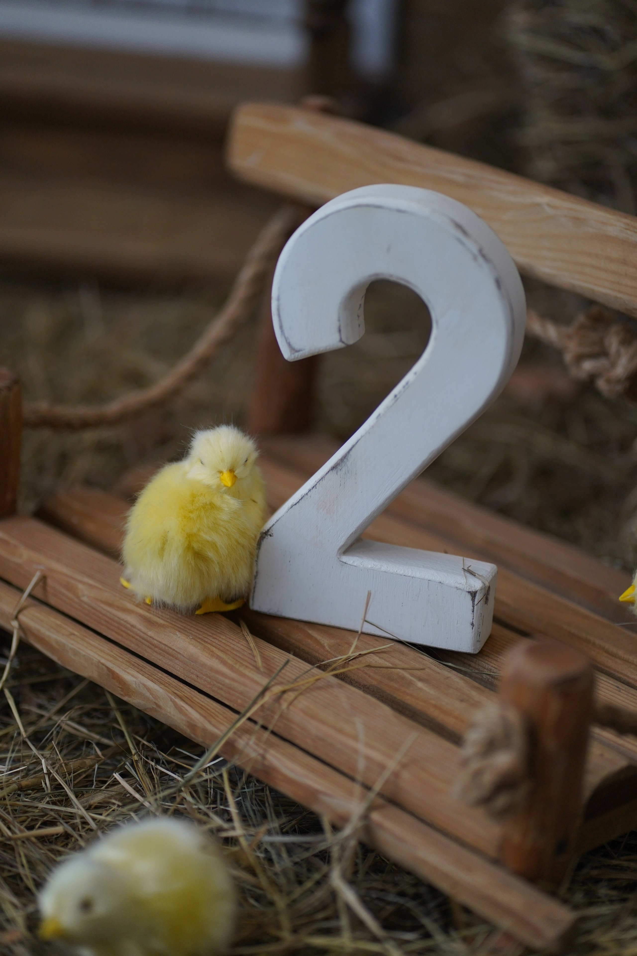 HB. Фотограф в Москве и МО