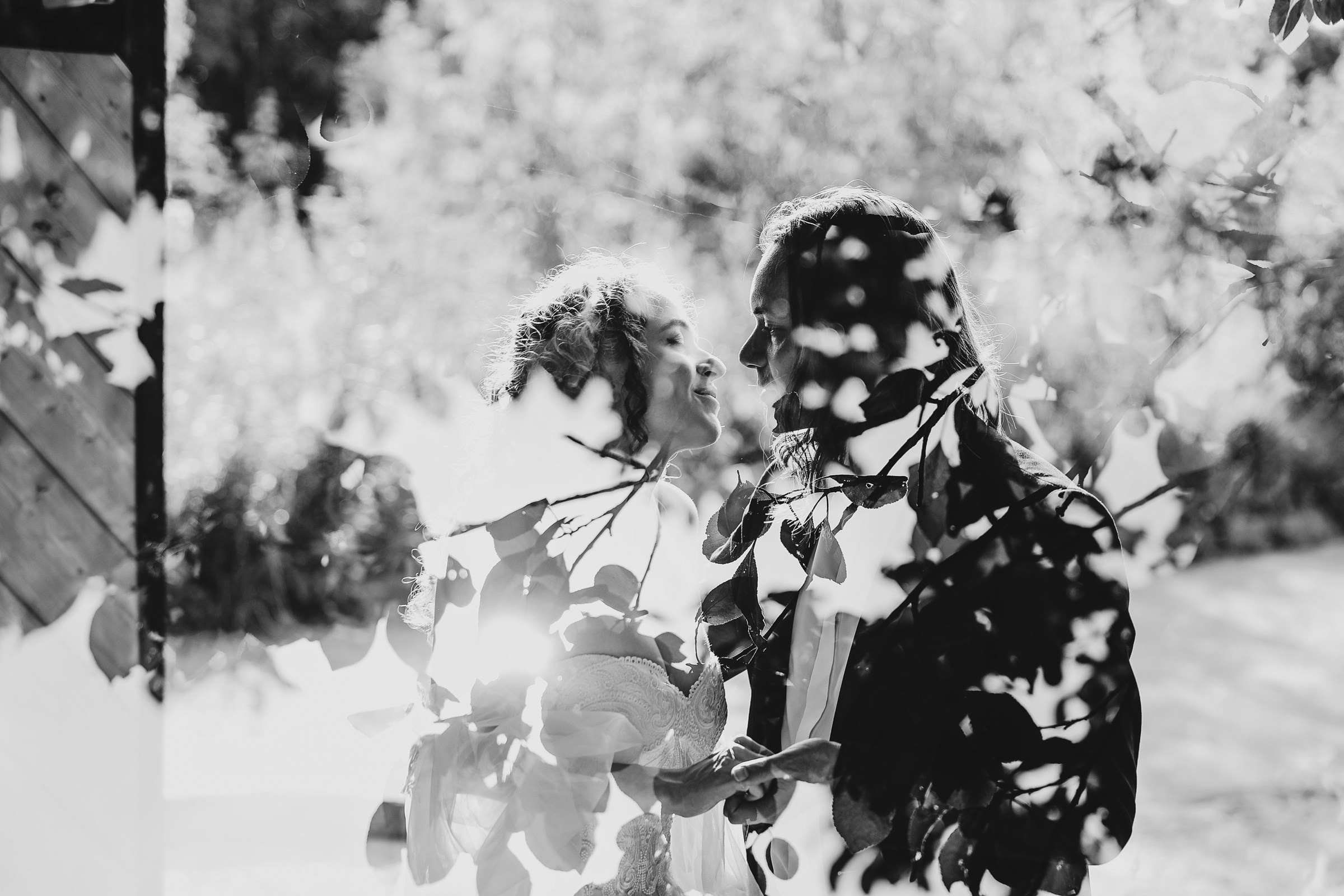 Сергей Ярослава. Свадебный фотограф и видеограф Дмитрий Горяченков