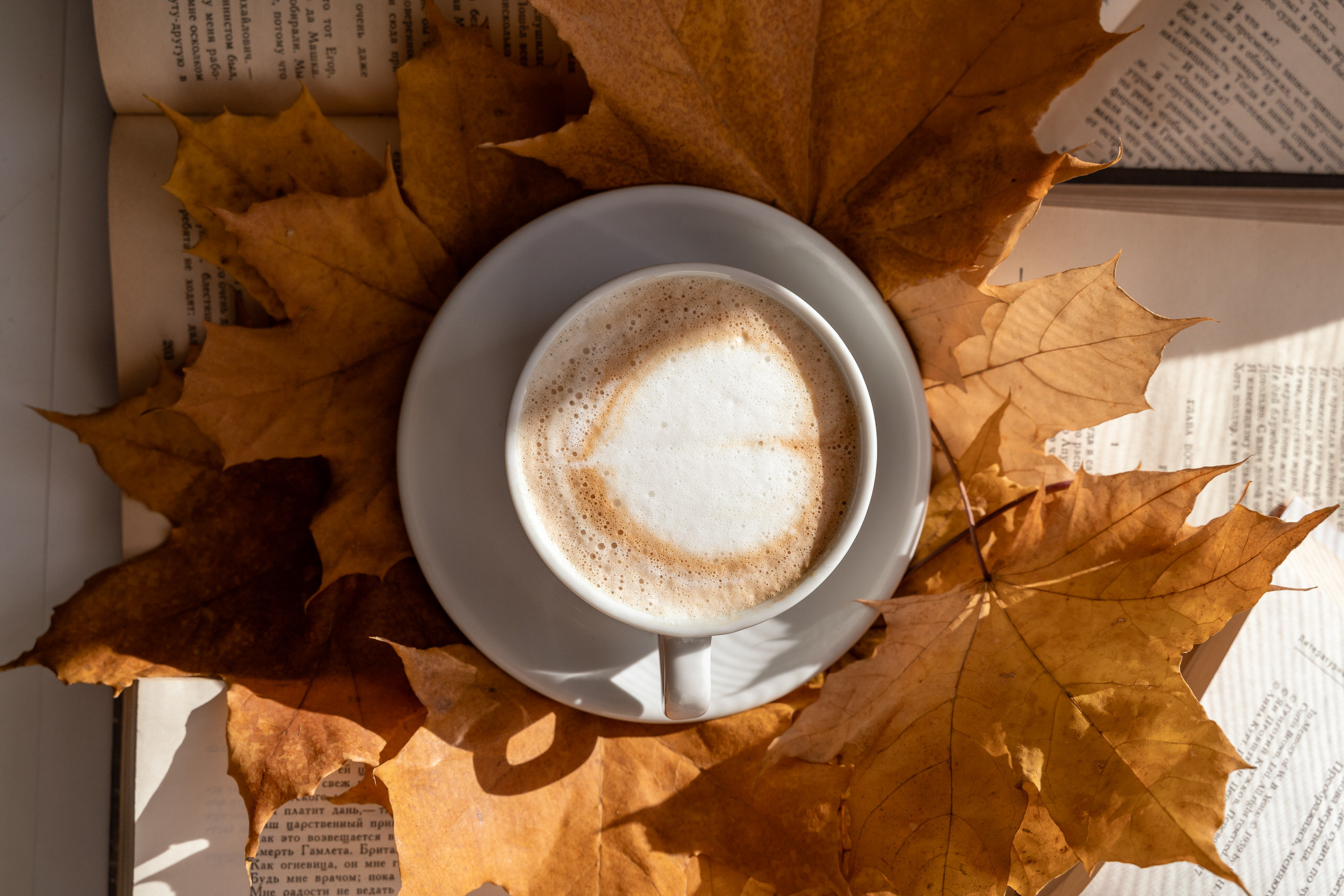 Отзывы на фото и видео в Ижевске, Воткинске, Чайковском, Казани, Перми. Фото и видео для бизнеса, репортажная и свадебная съемка|Александр Кузнецов|Ижевск, Воткинск