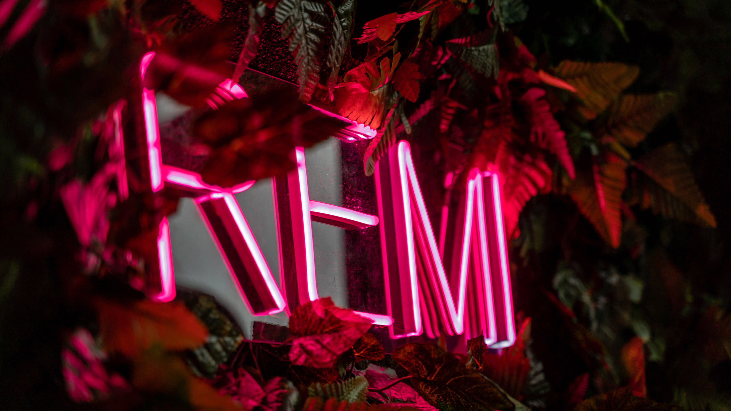 Фото и видео для бизнеса, репортажная и свадебная съемка|Александр Кузнецов|Ижевск, Воткинск