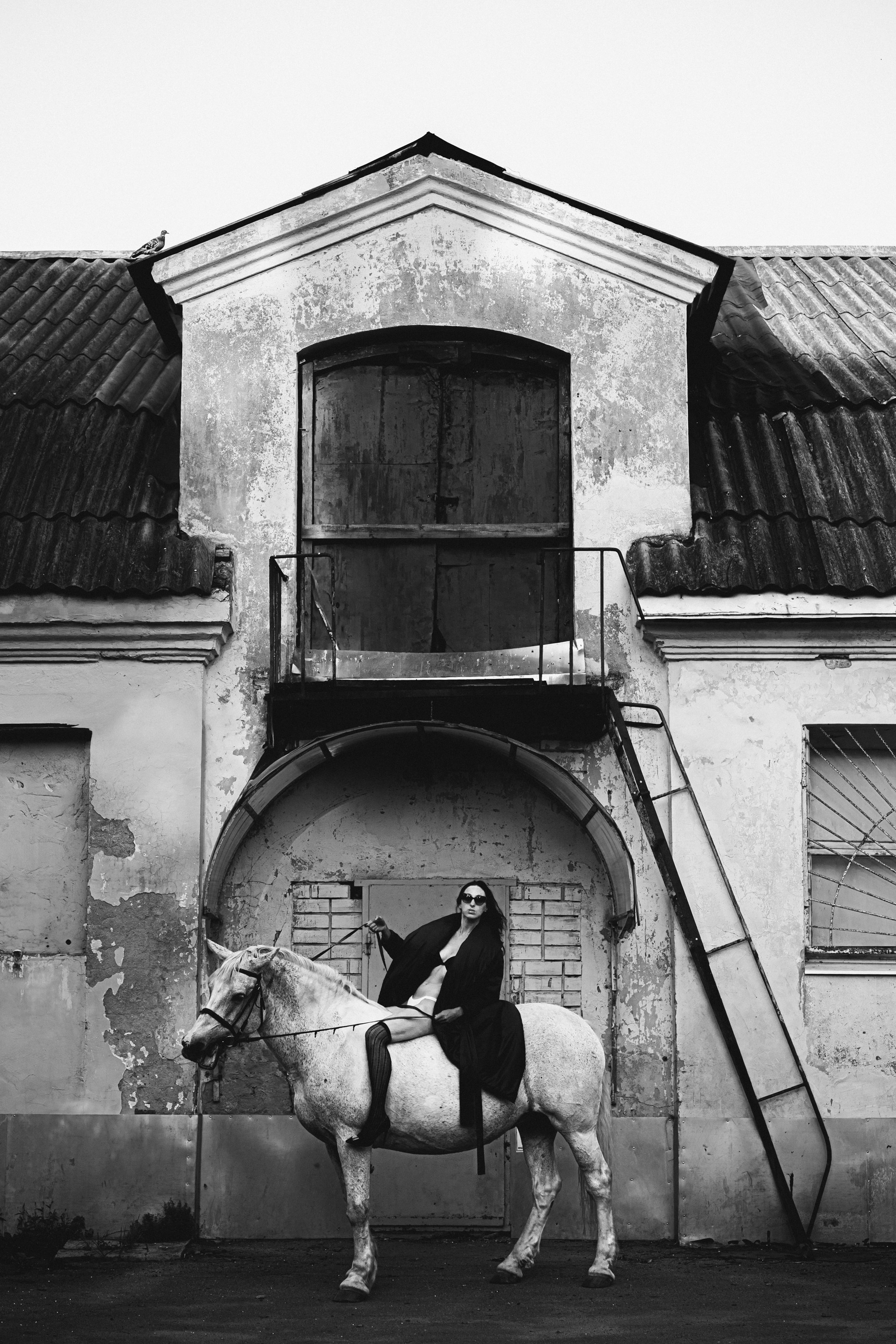 Девушка сидит на лошади