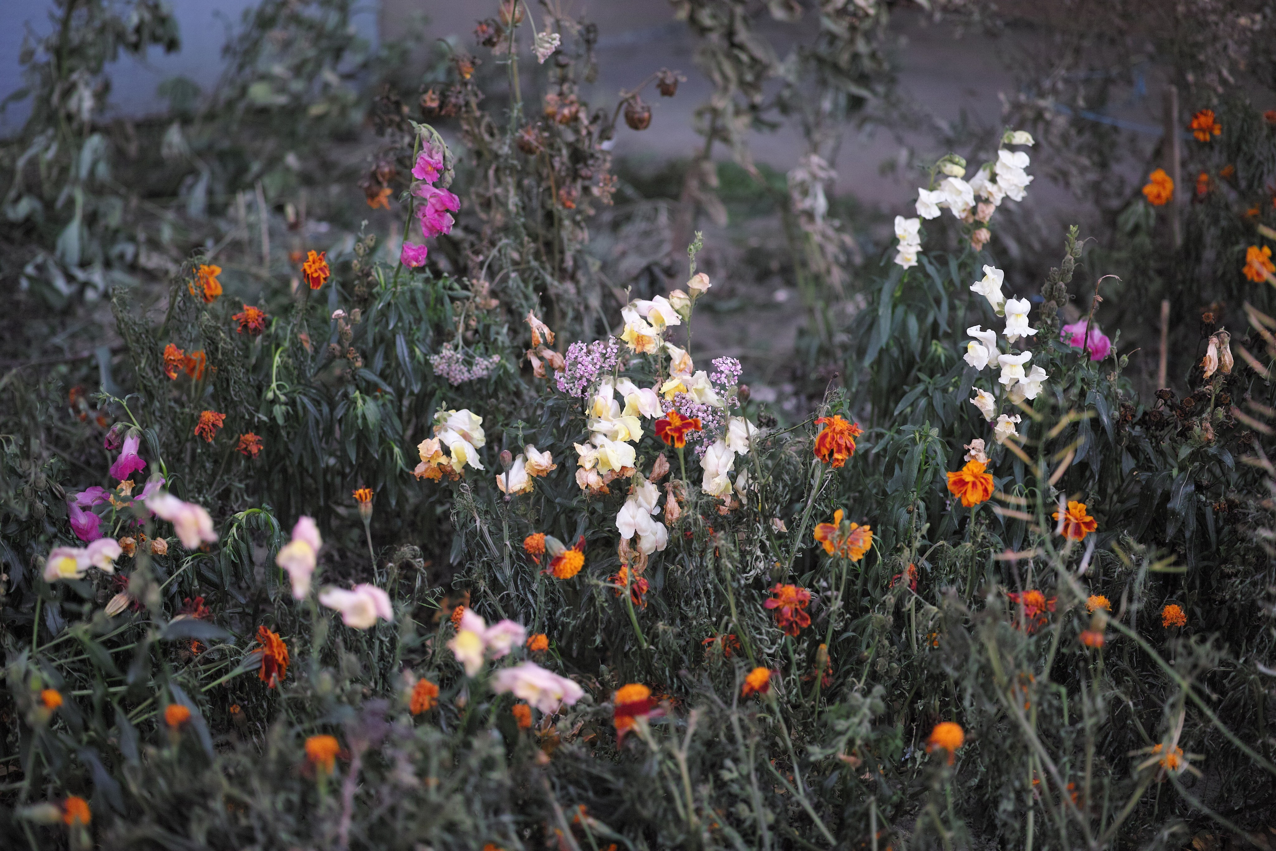 Mark Zarya — Casual Photography