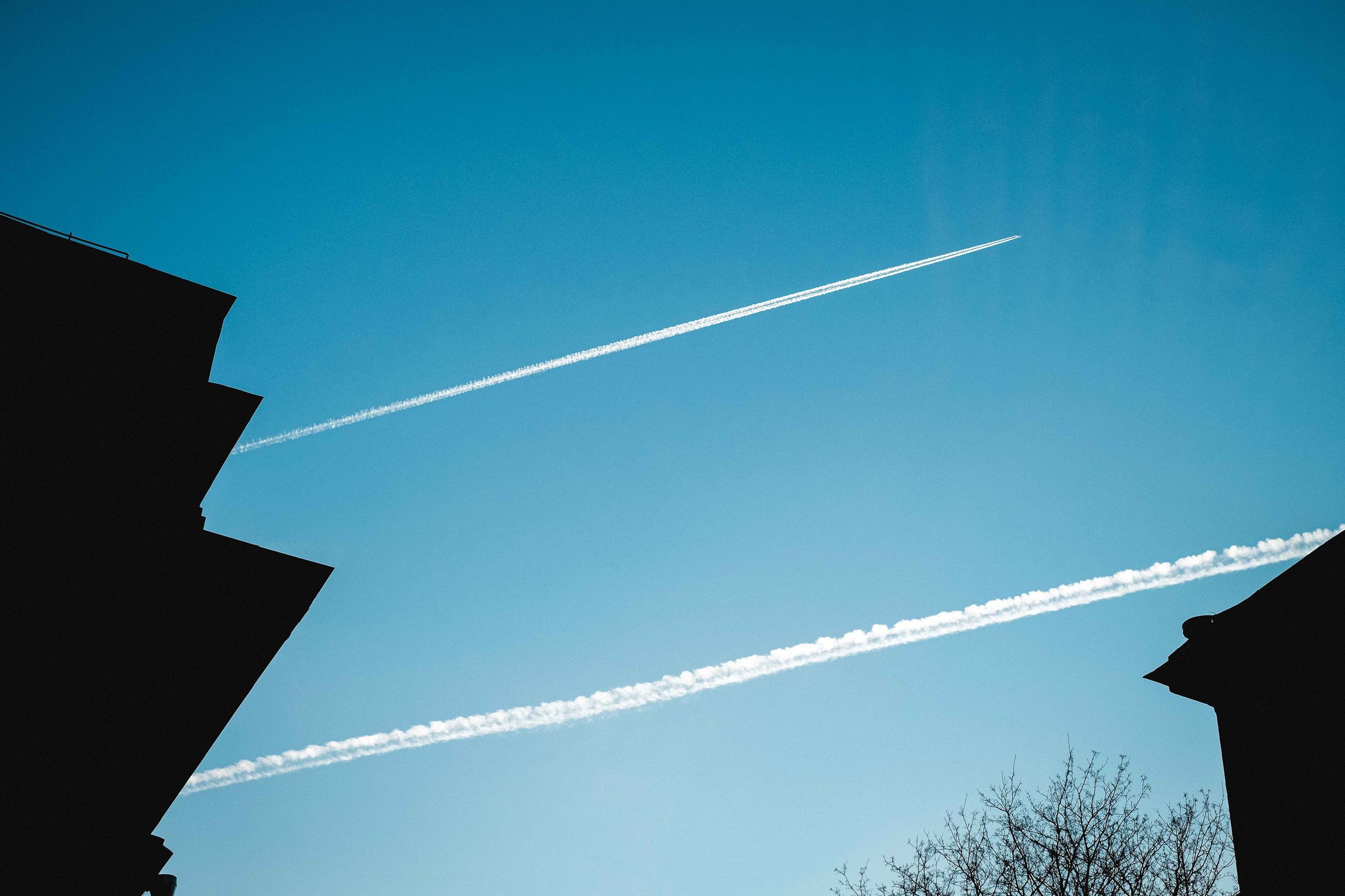 2021.12. Фотограф Алексей Алексеев