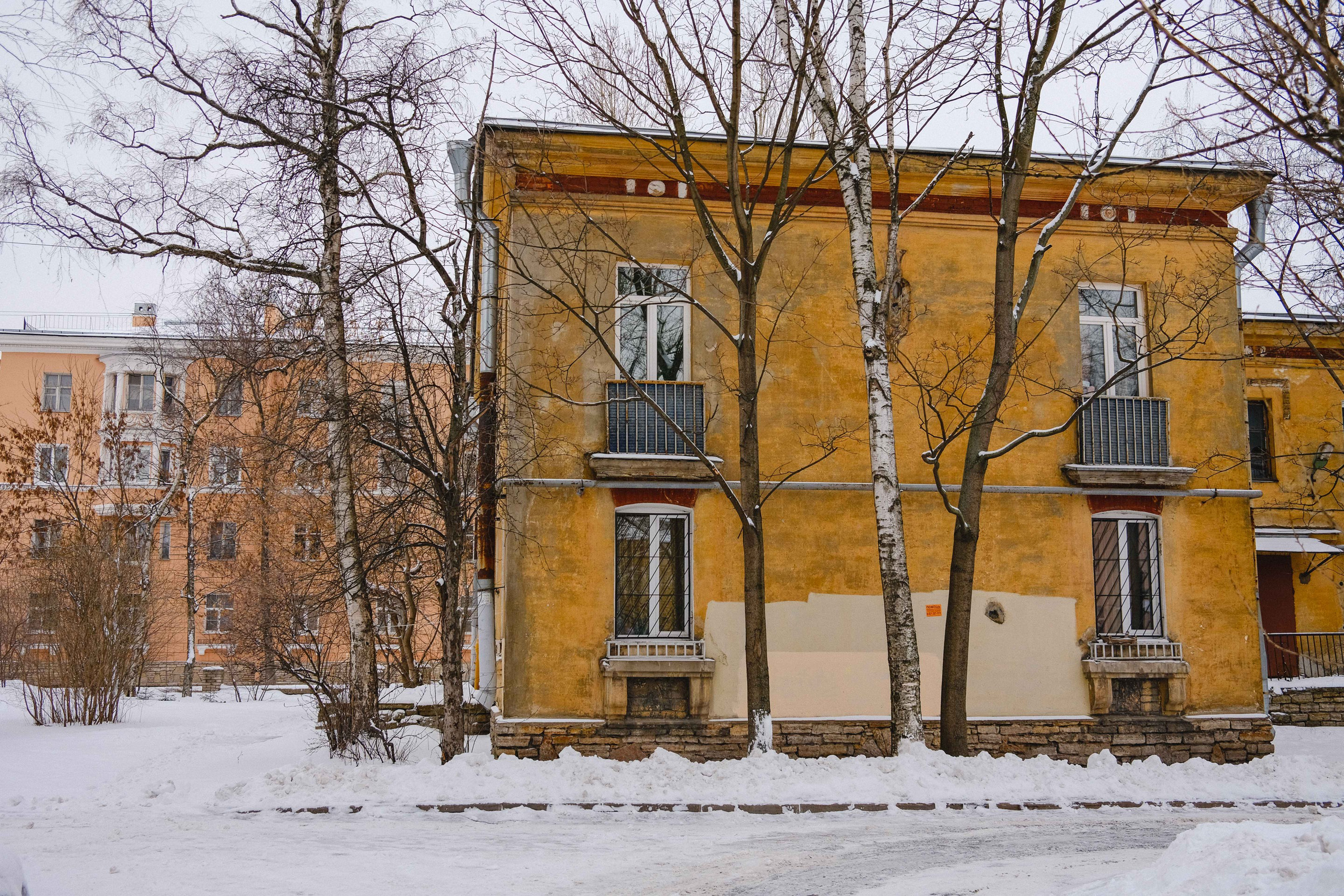 2023.02. Фотограф Алексей Алексеев