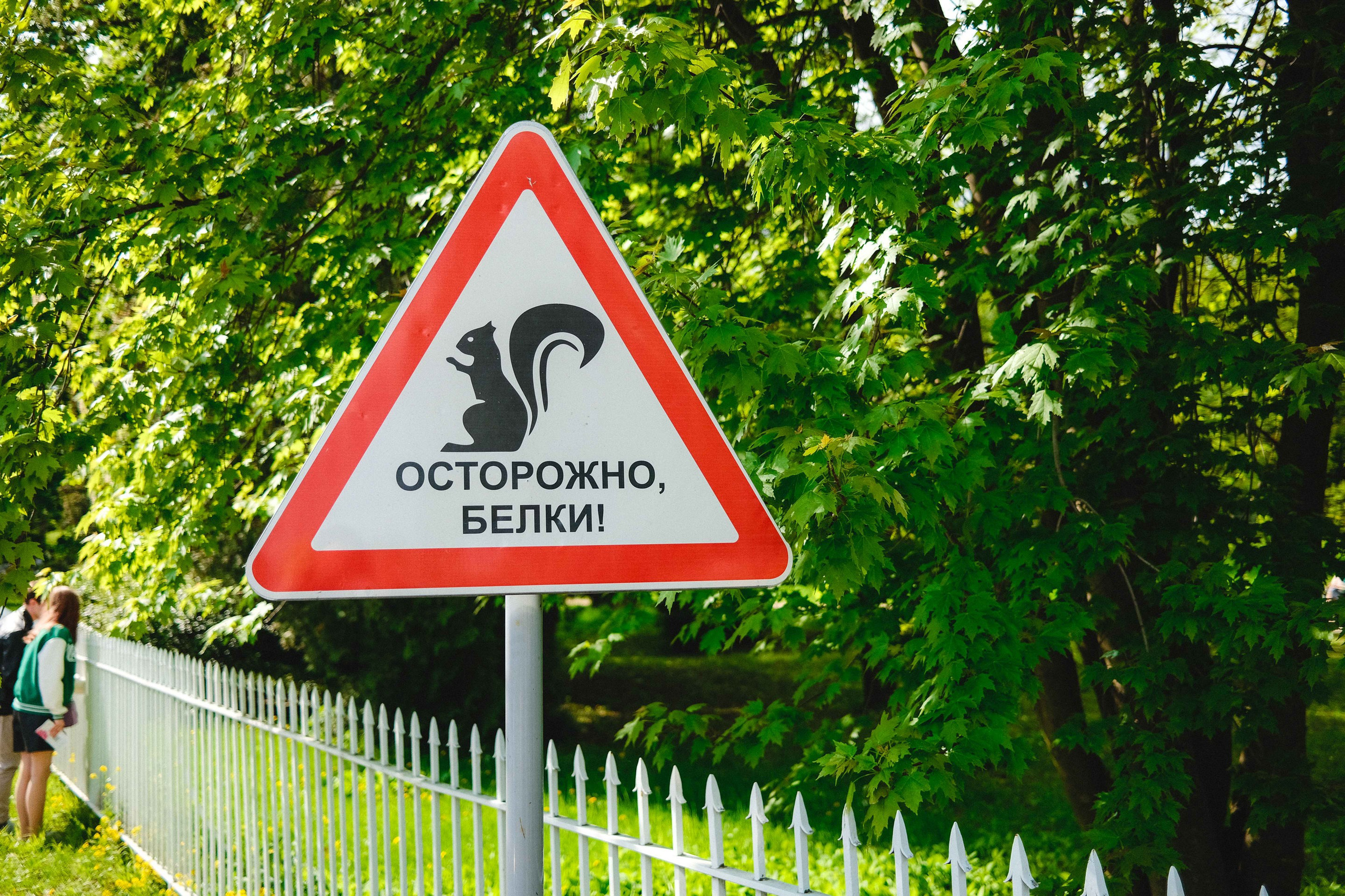 2023.05. Фотограф Алексей Алексеев