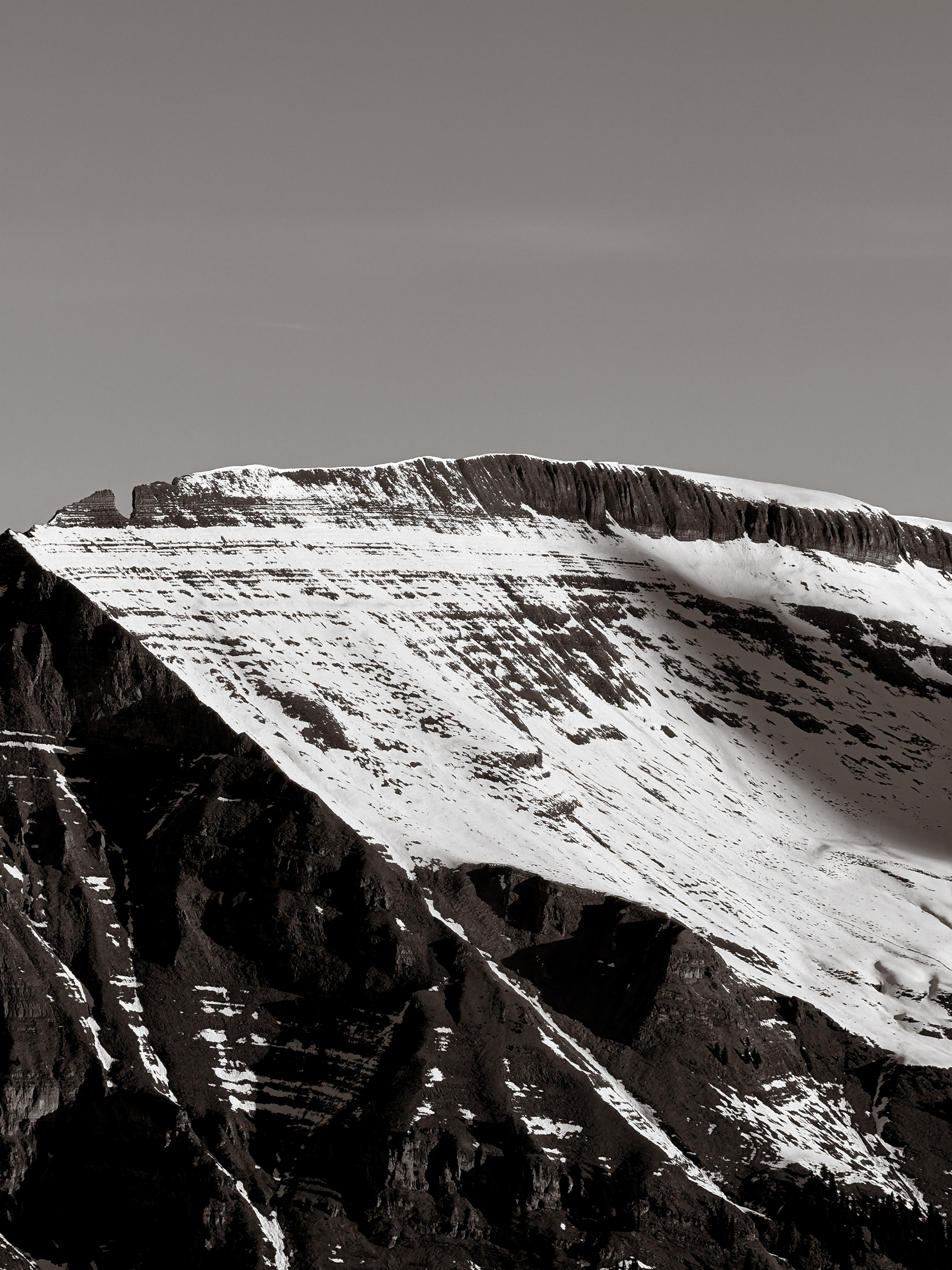 Grindelwald. Фотограф в Москве
