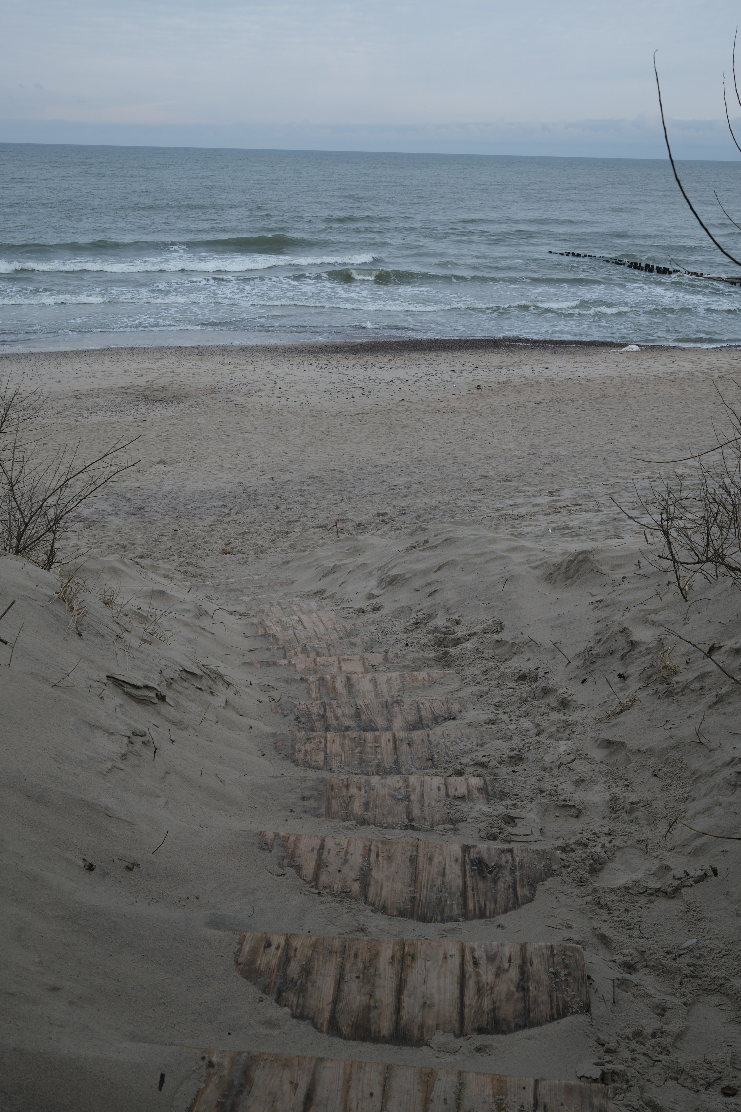 Зеленоградск. Калининградская область. Алексей Торопов фотограф