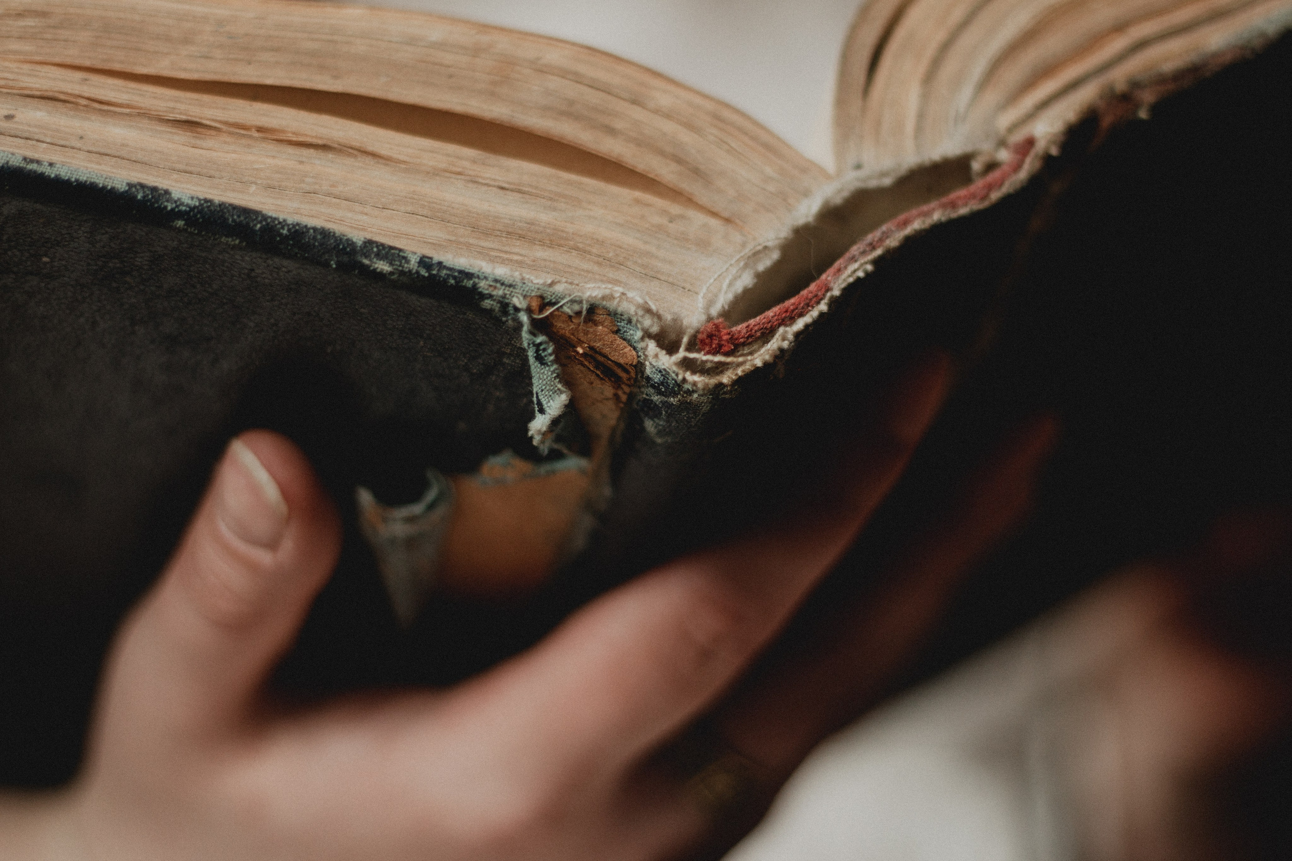 Юля. Мария Колесникова