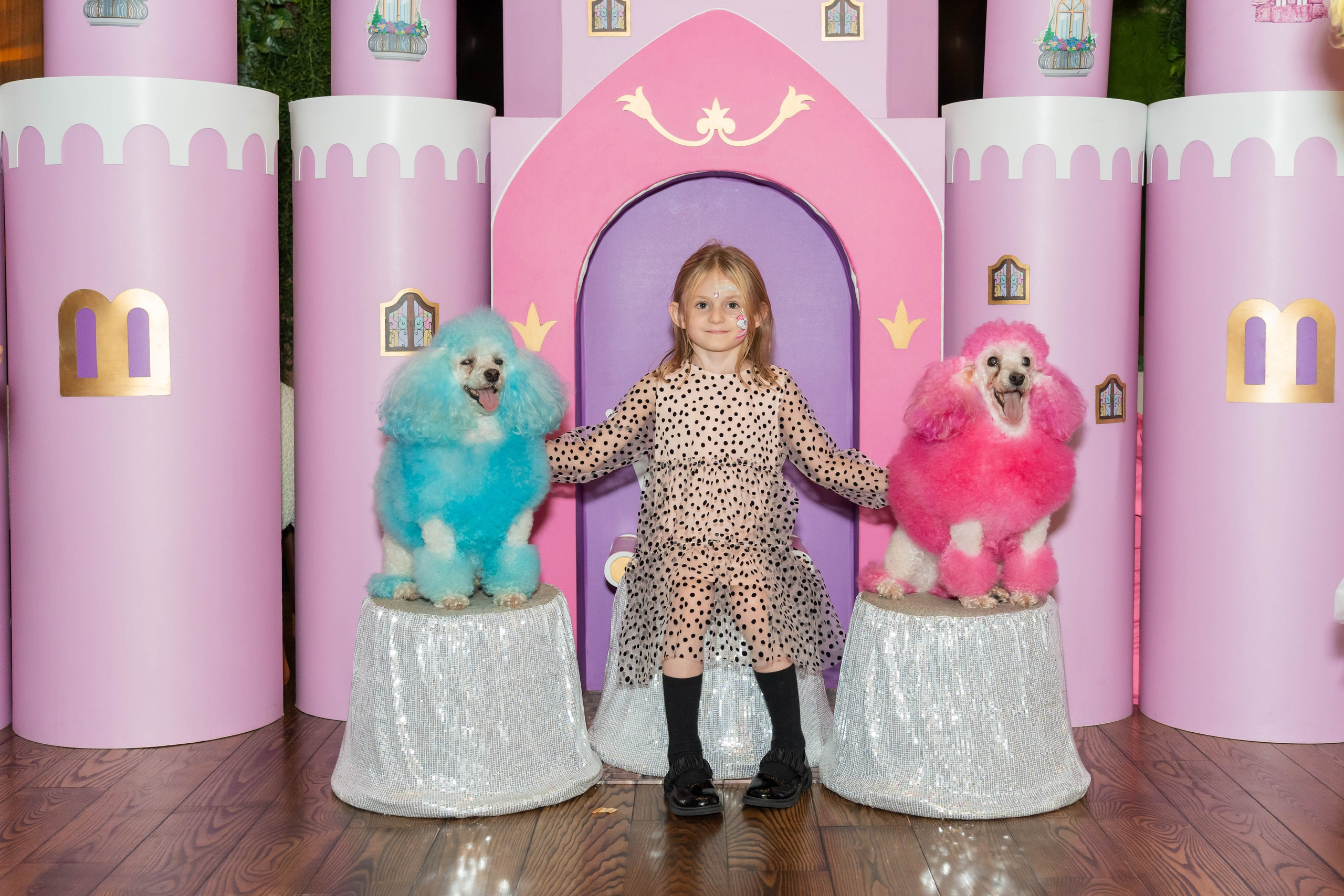 День Рождения Мелисенды. Анастасия Чиркова, Фотограф Москва