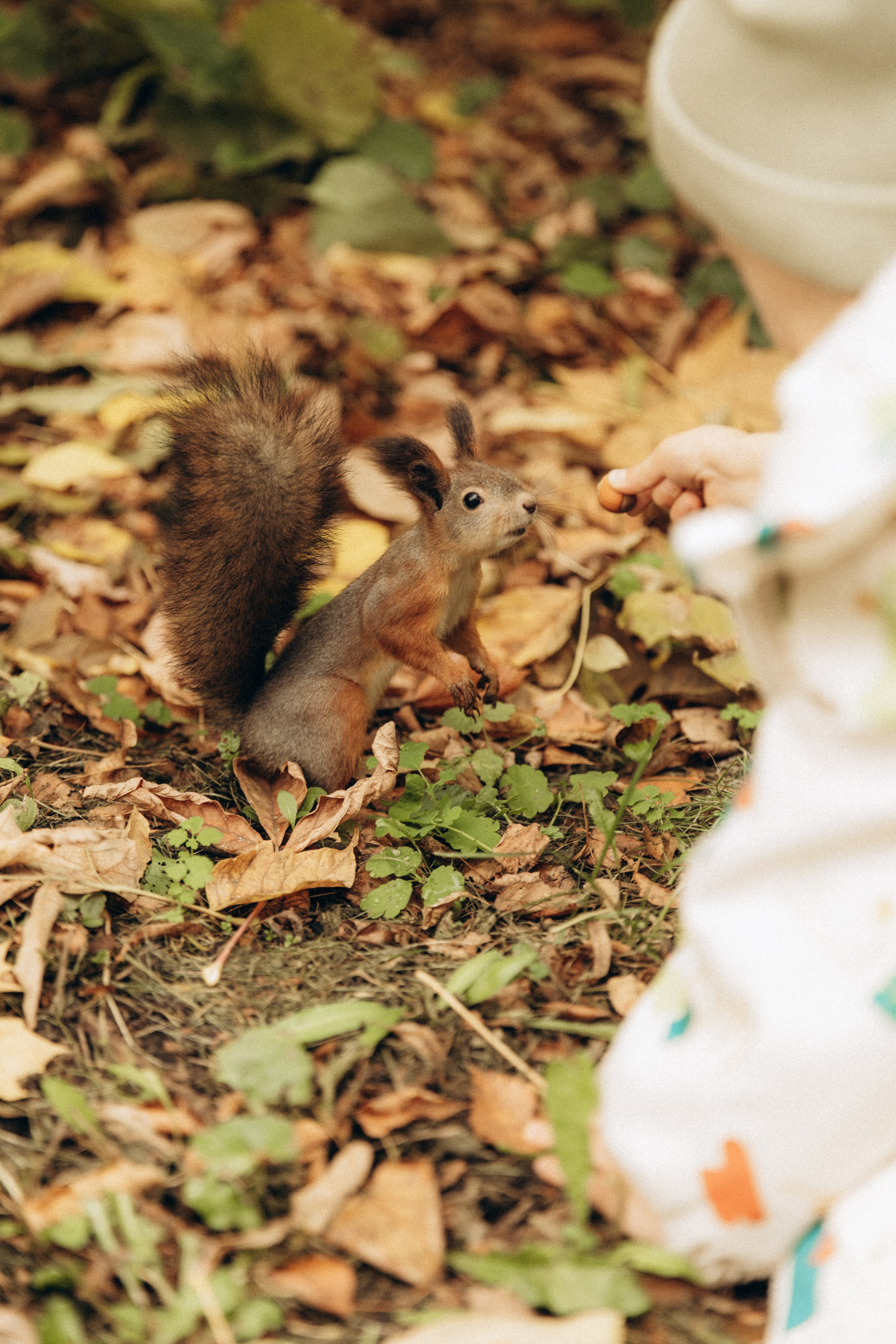 Аня, Ваня и Миша. Фотограф в Нижнем Новгороде Воробьева Анжела