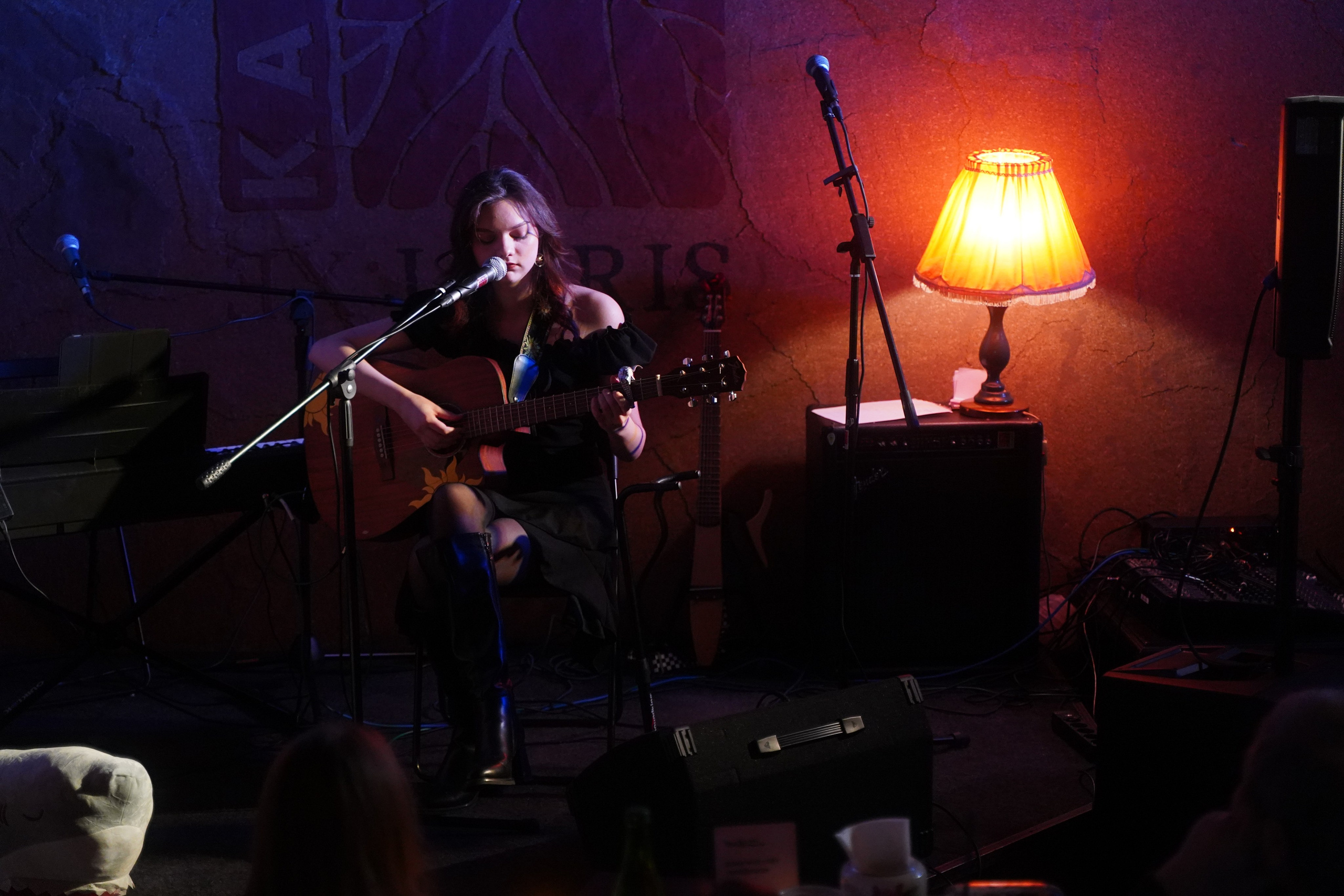 Концерт. Видео и Фото