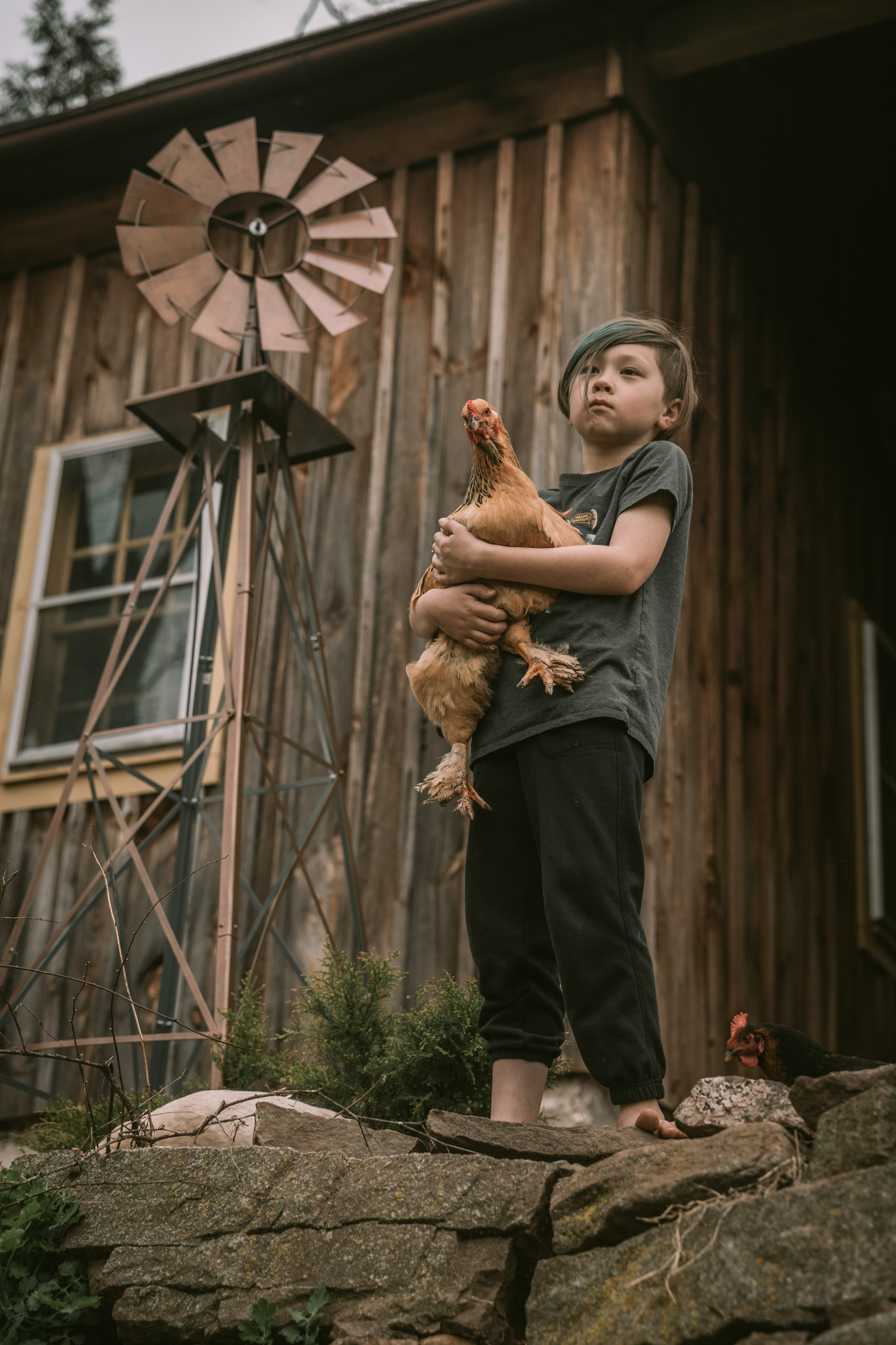 Session at the client’s home. Family photographer in Eastern Pennsylvania, Inna Nairn